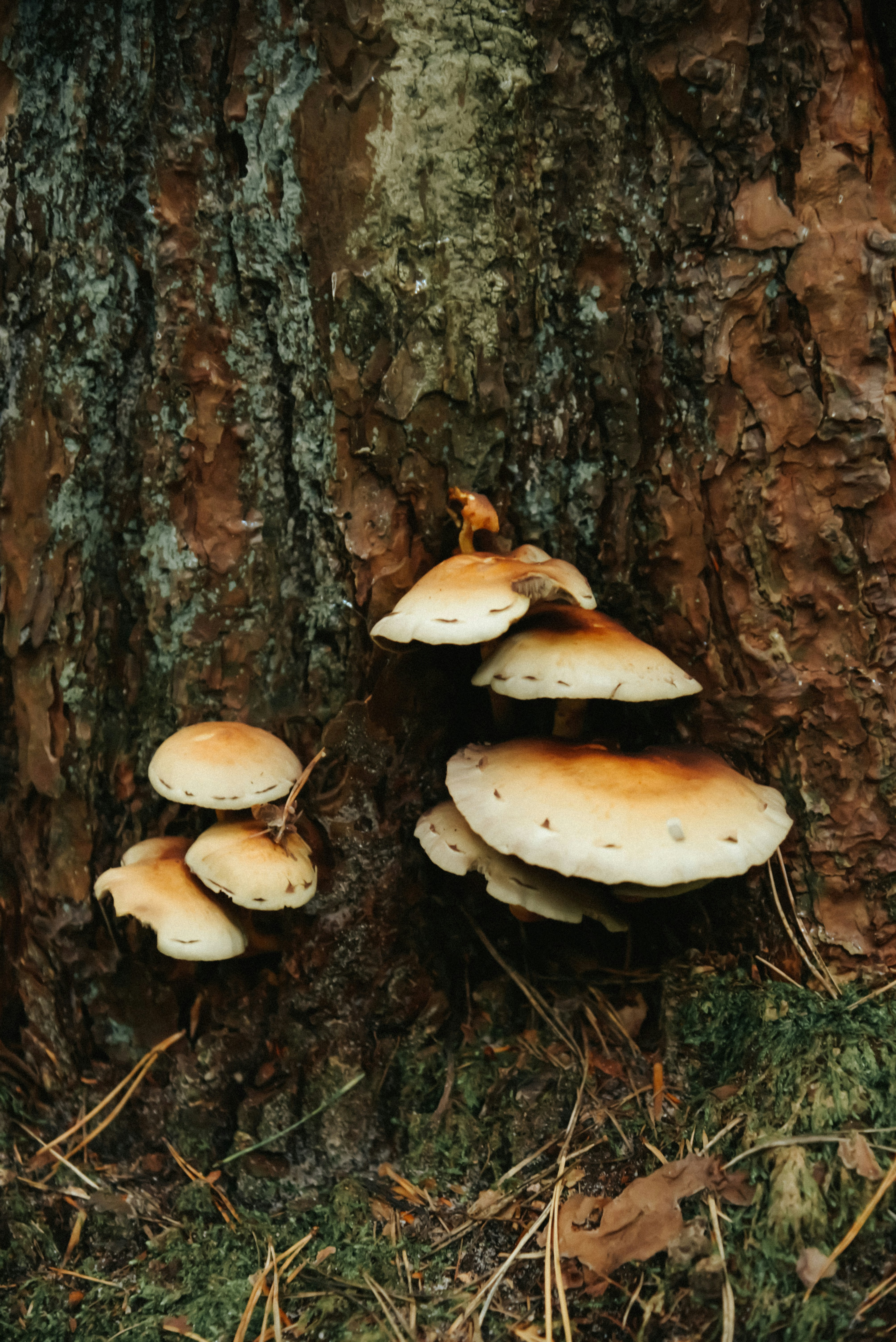 Photo by malwinanogaj