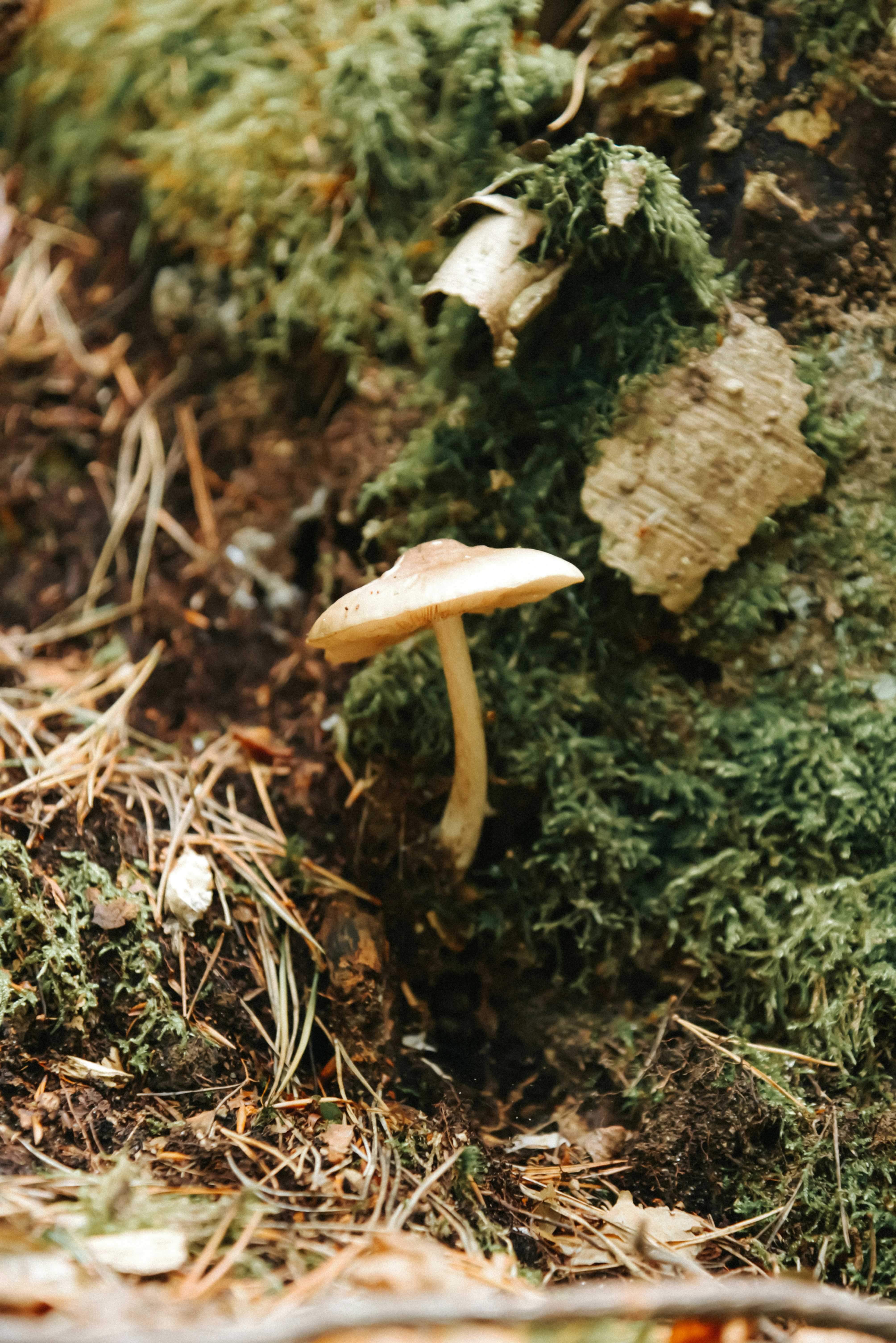 Photo by malwinanogaj