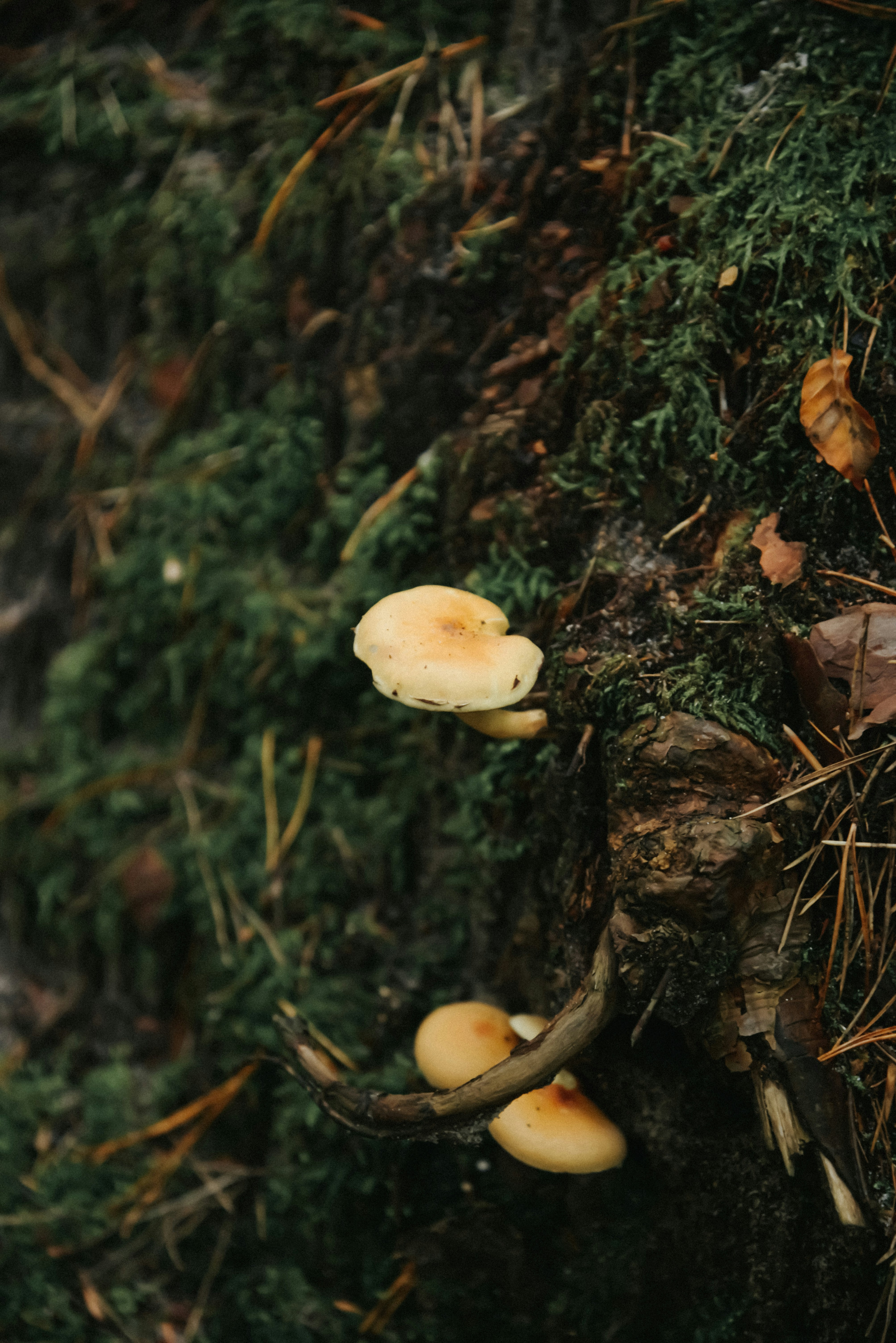 Photo by malwinanogaj