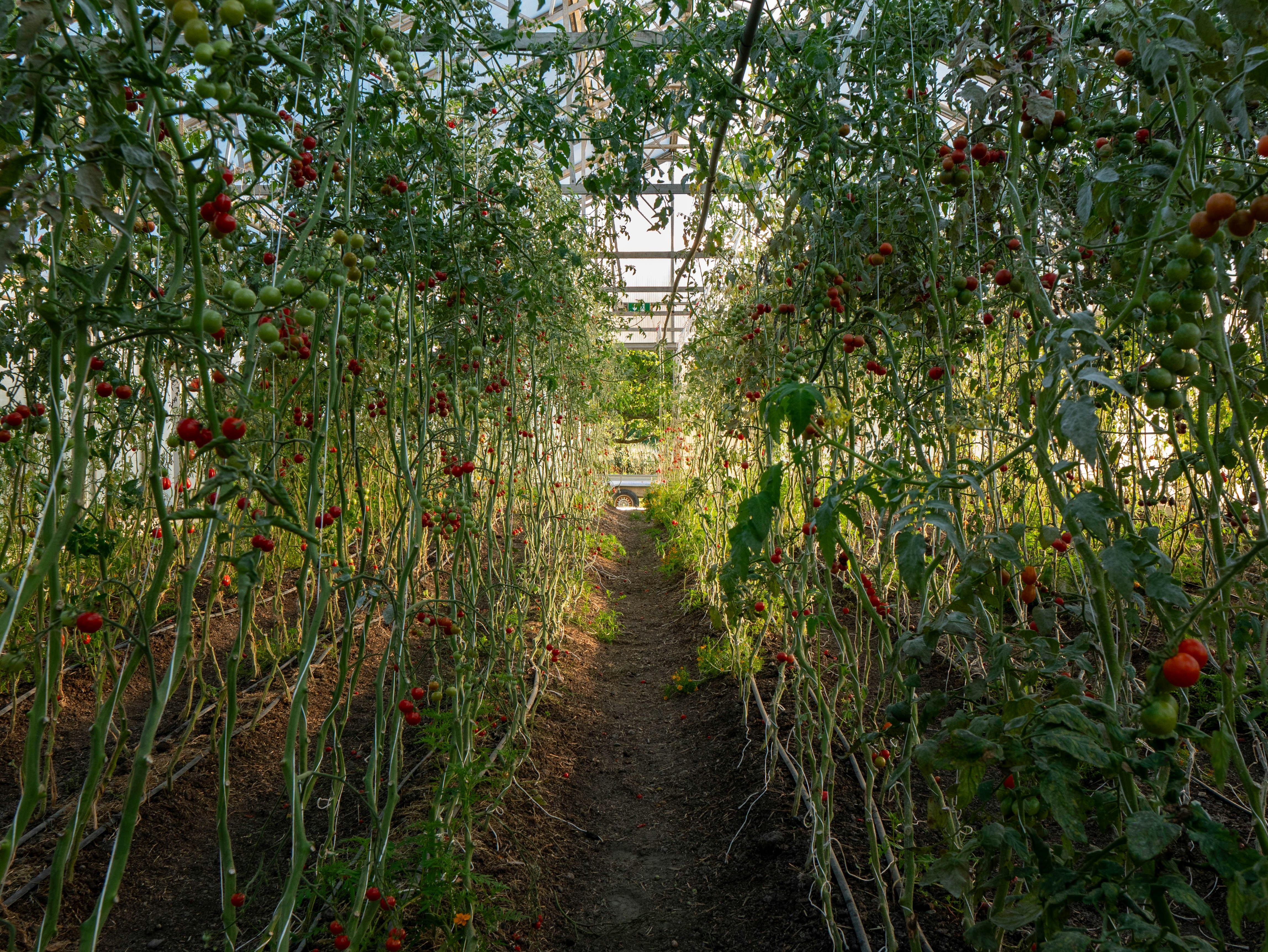 Photo by lucaslemoine