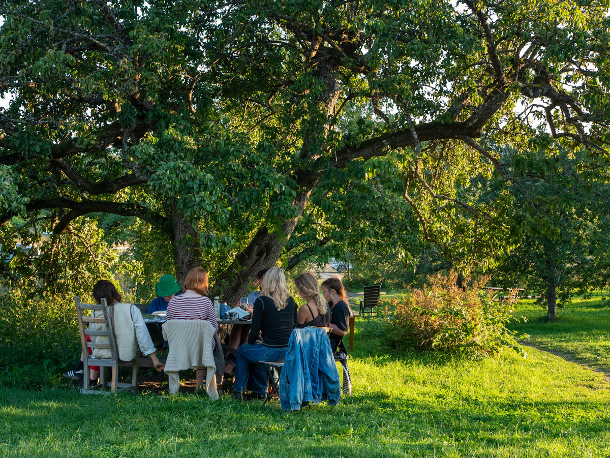 A long table set for dinner outdoors at golden hour