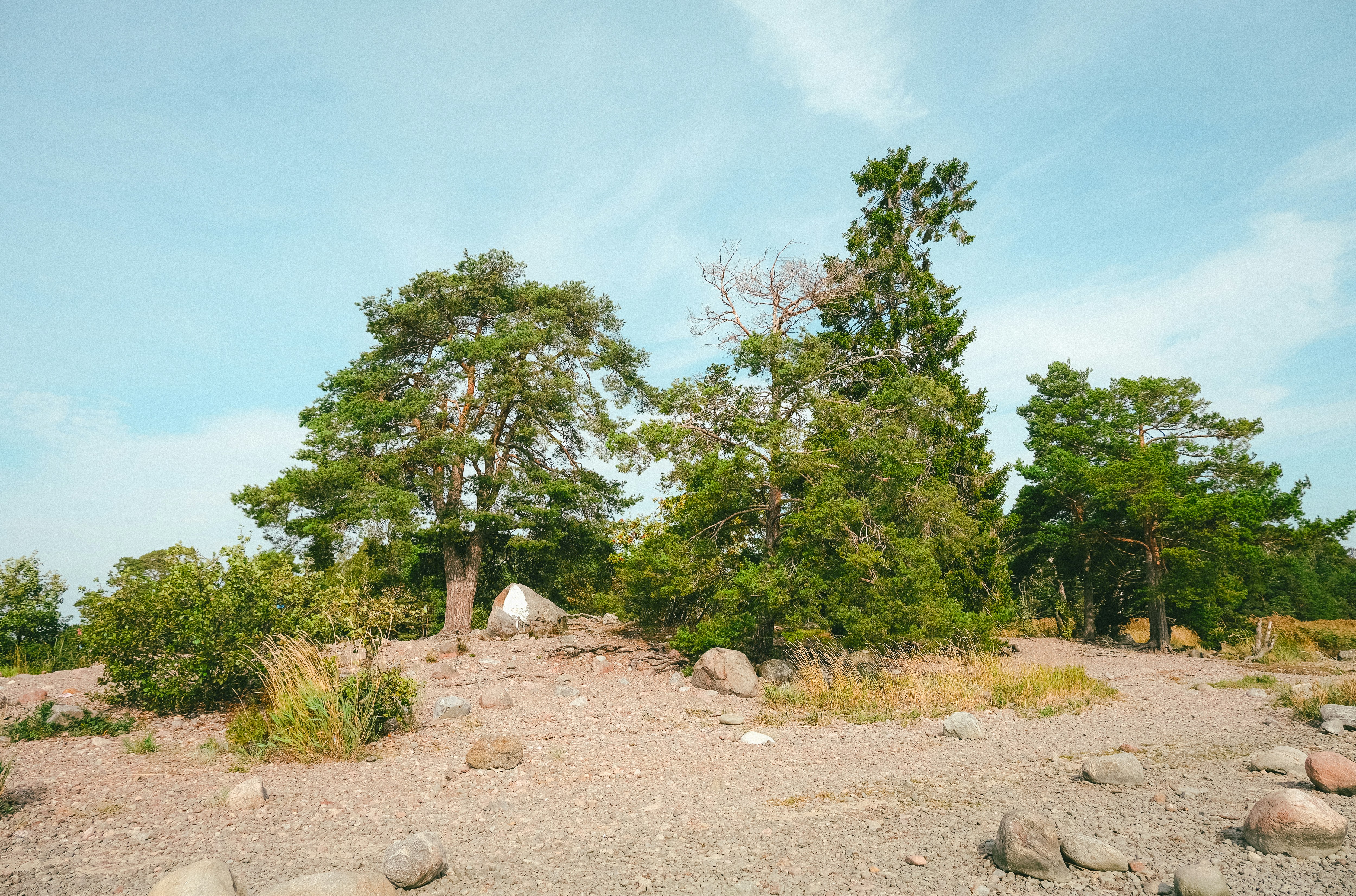 Photo by itsaroadmap