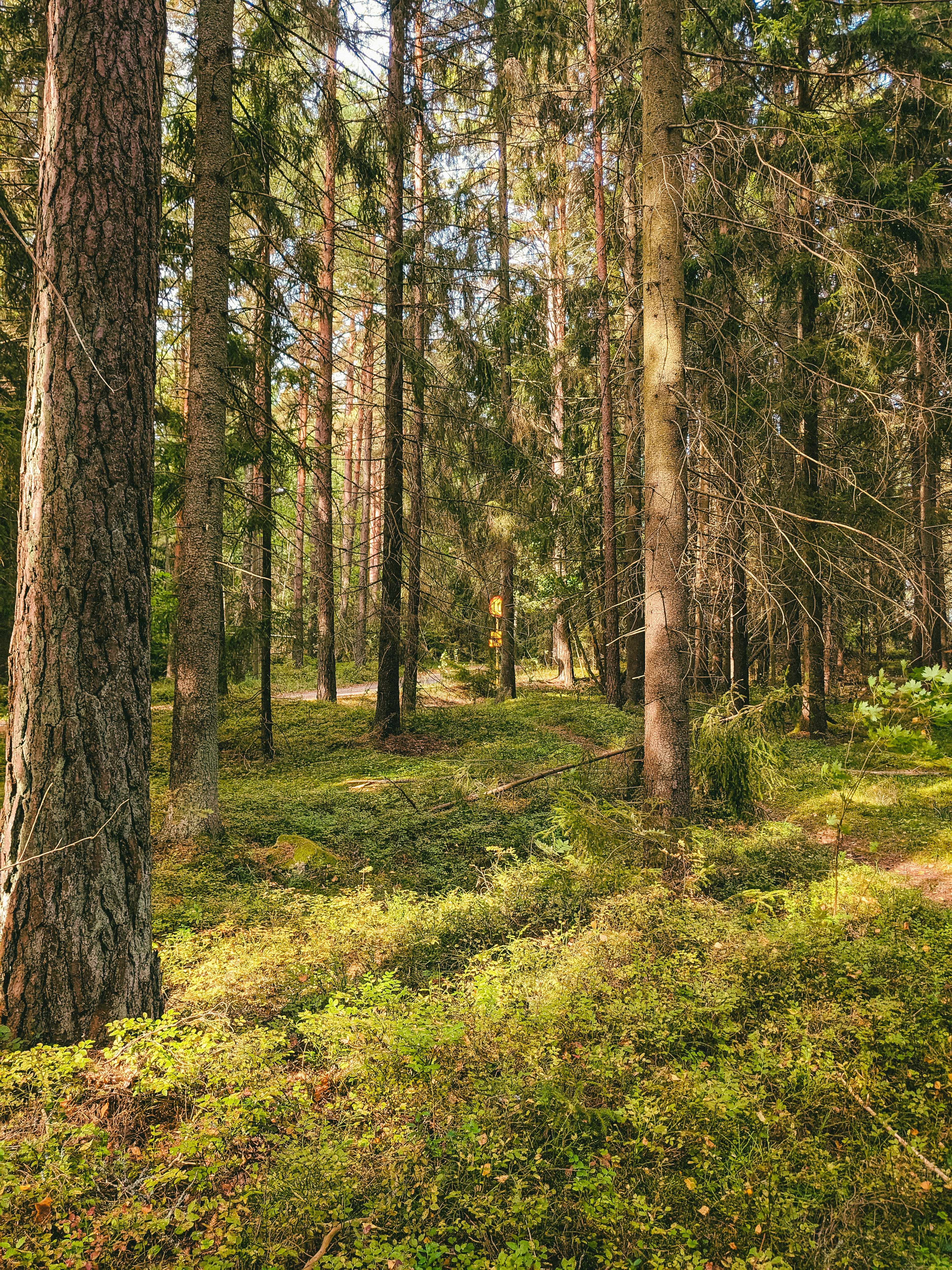 Photo by itsaroadmap