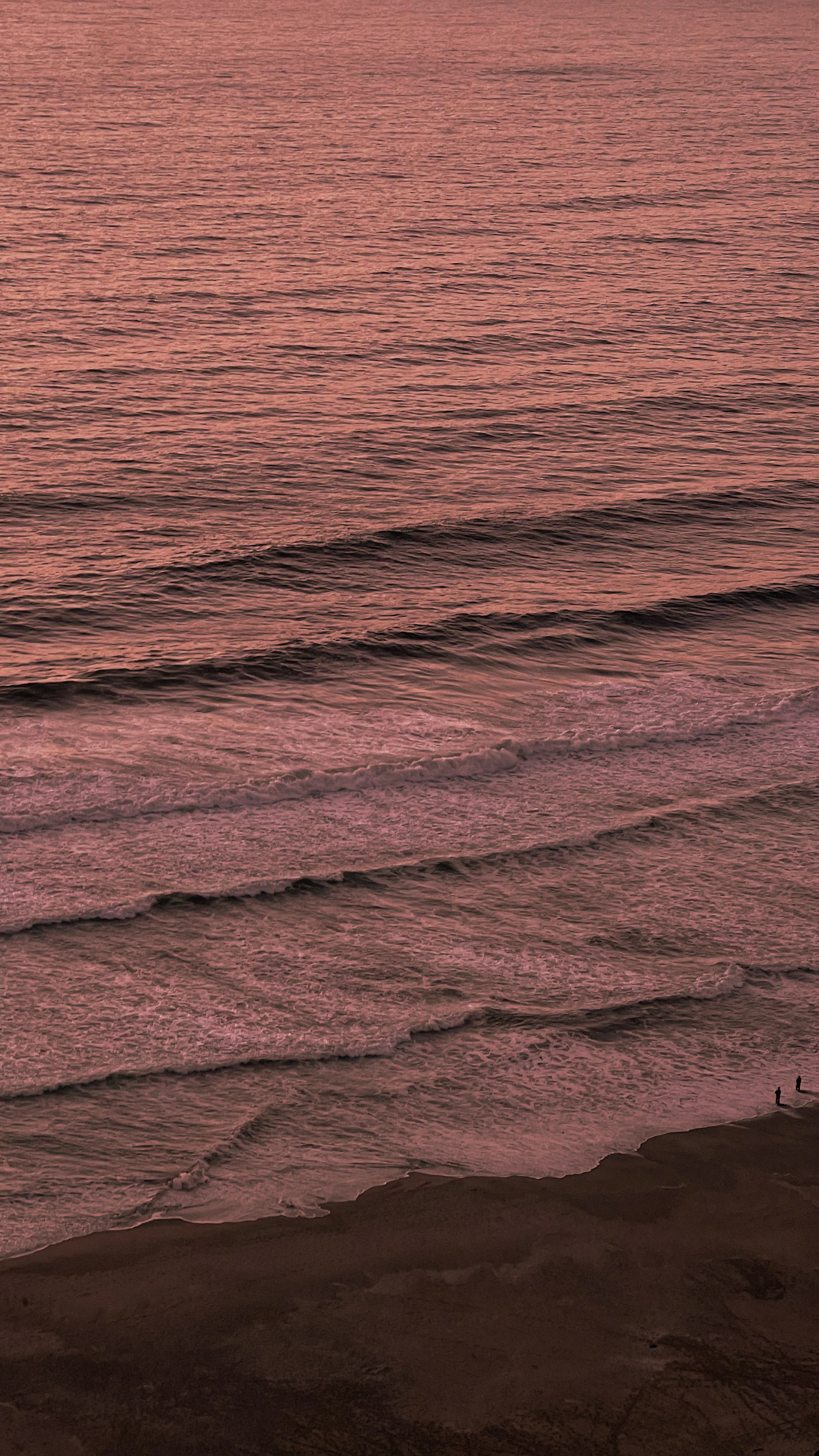 Two people walk on a beach with gentle waves
