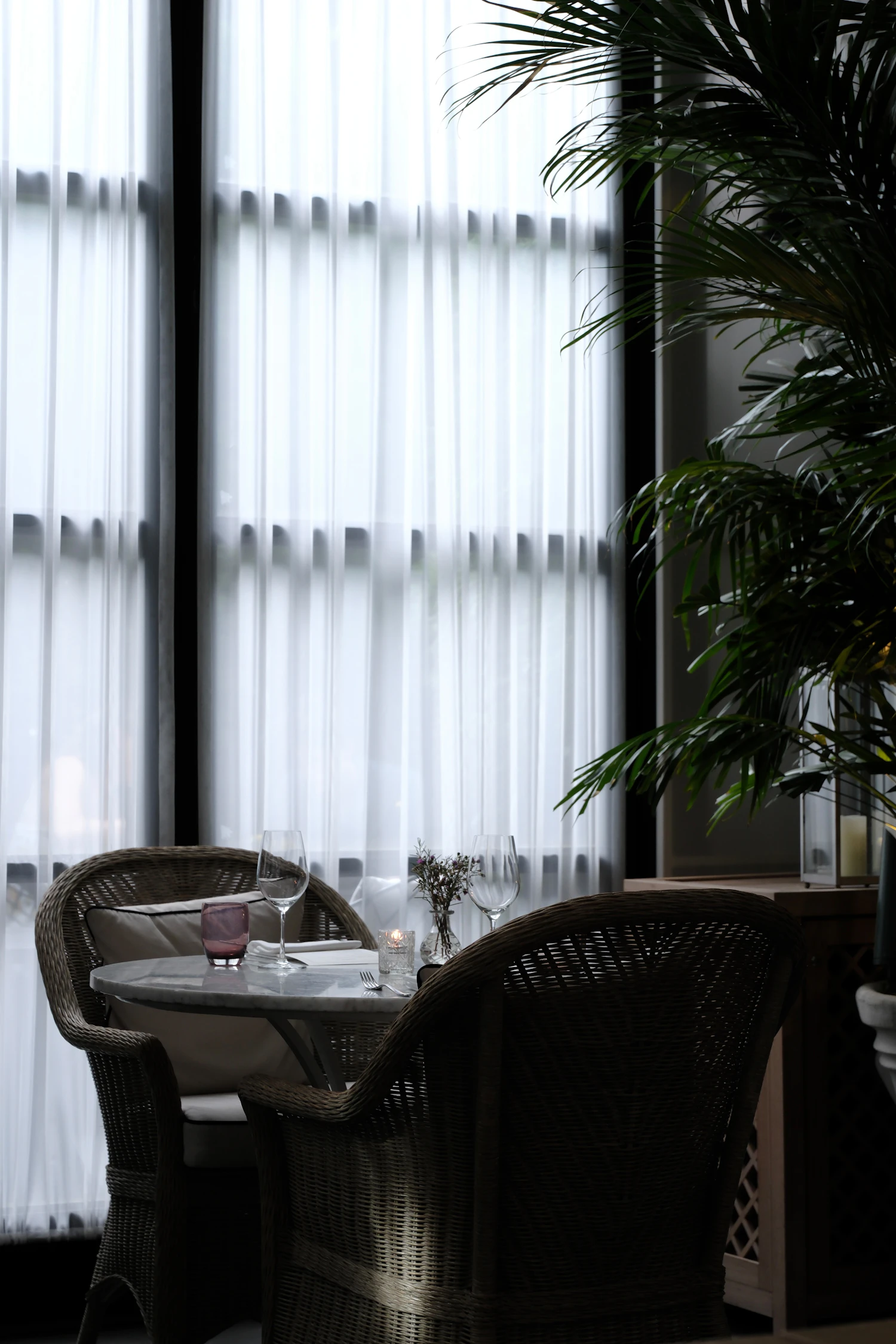 Wicker chairs at small tables beside a wall of white curtains and a palm