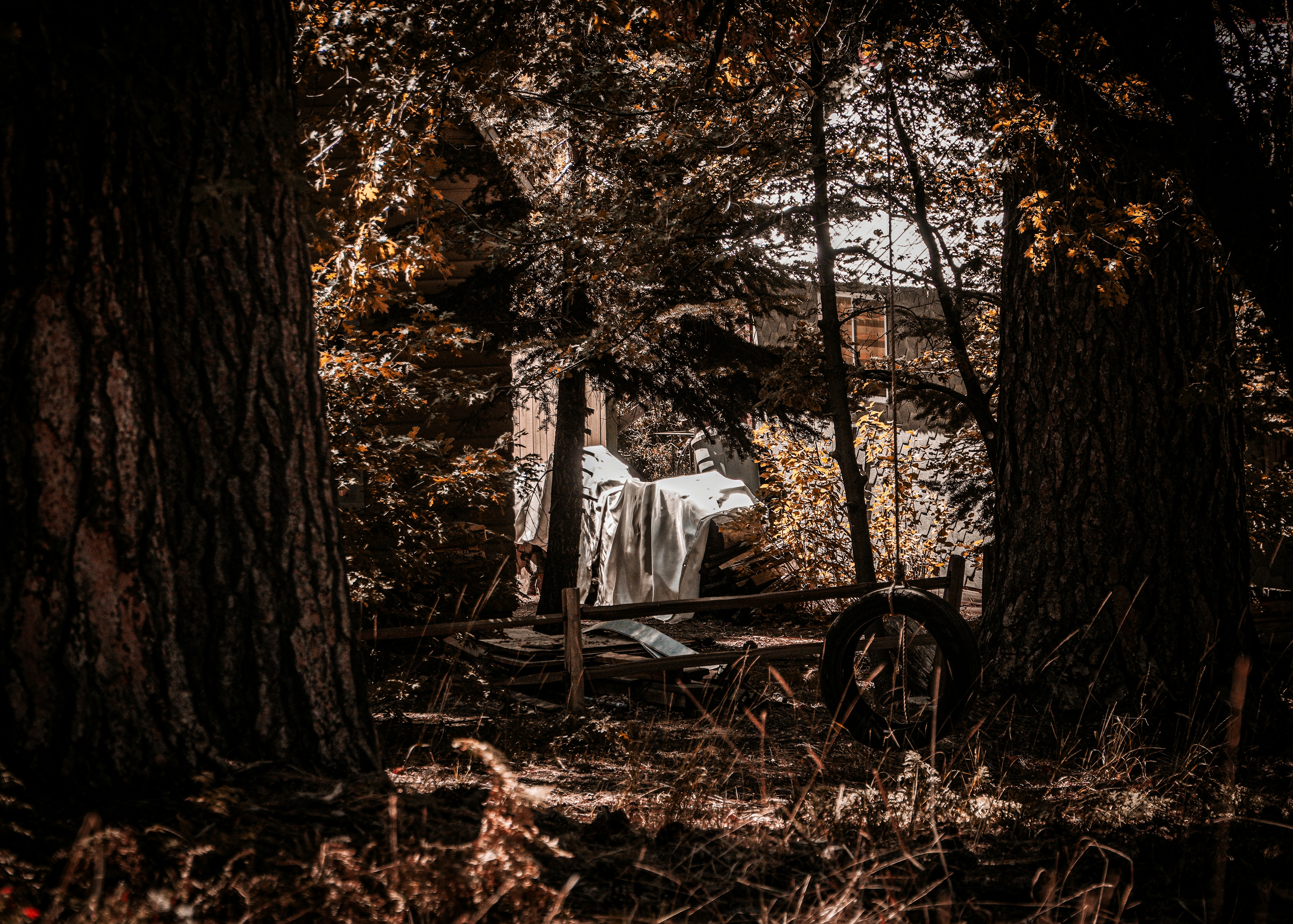 Old cart covered with white cloth in forest