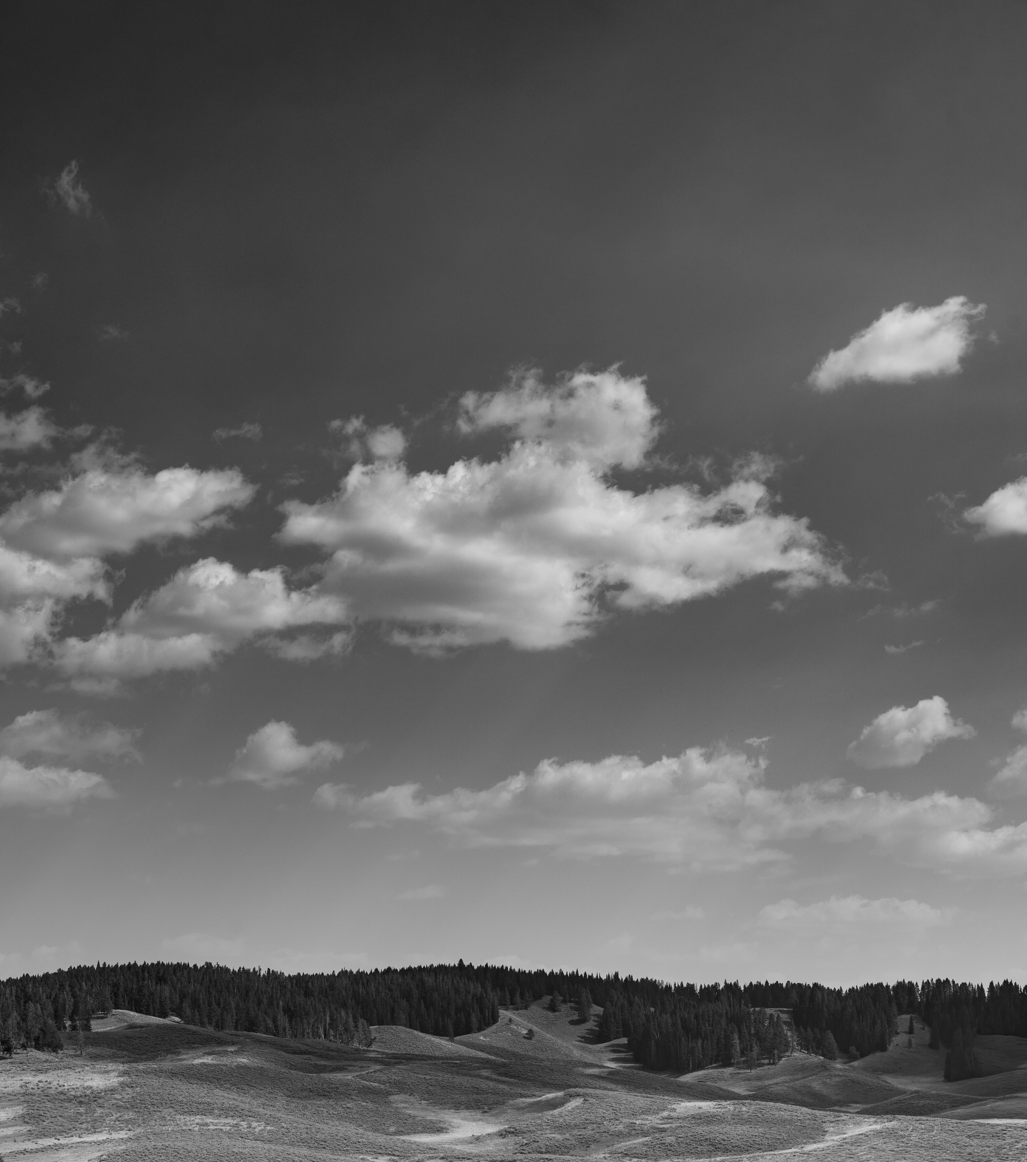 Photo by purpleice4496