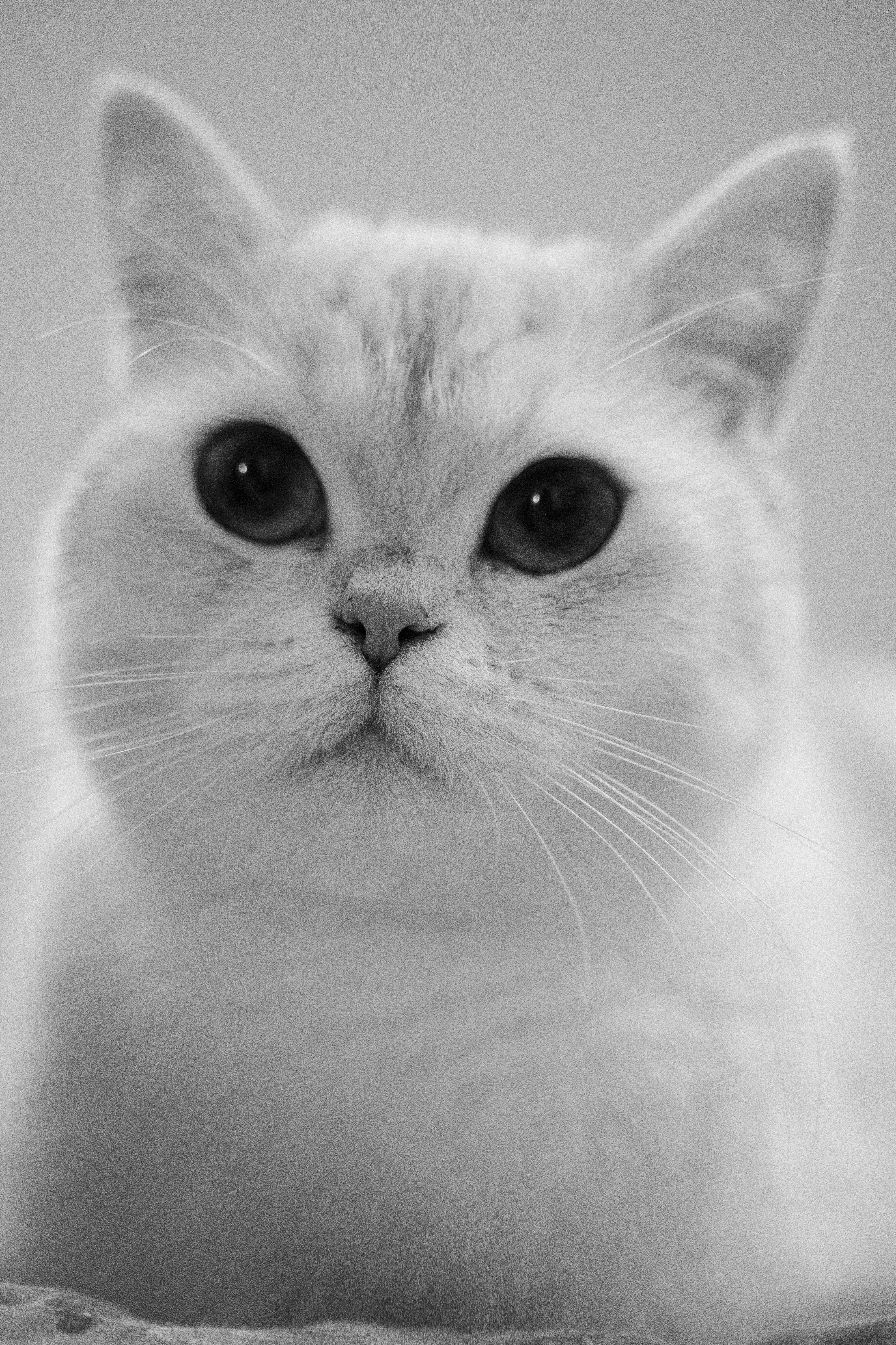 Photo by franceeesca_f