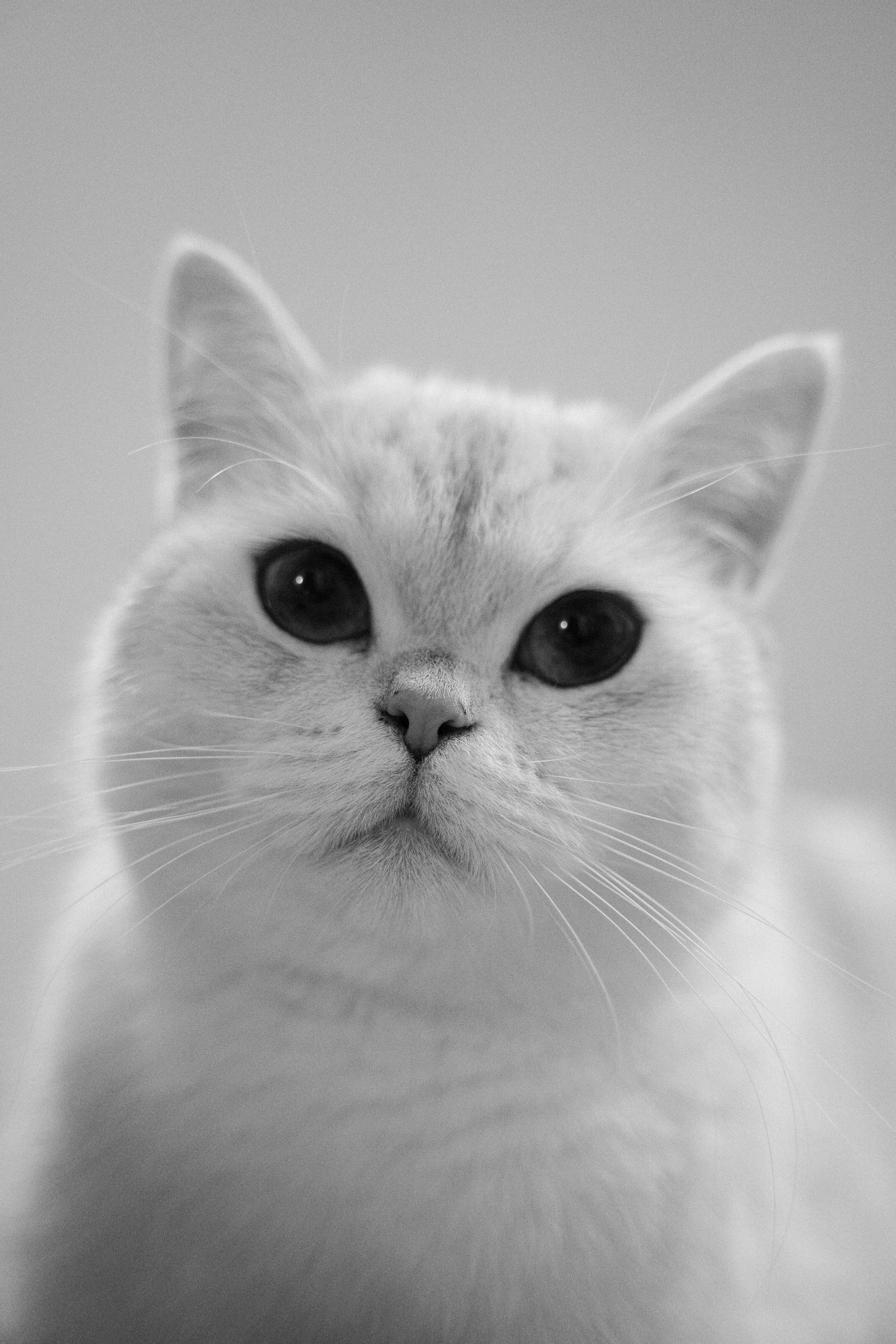 Photo by franceeesca_f