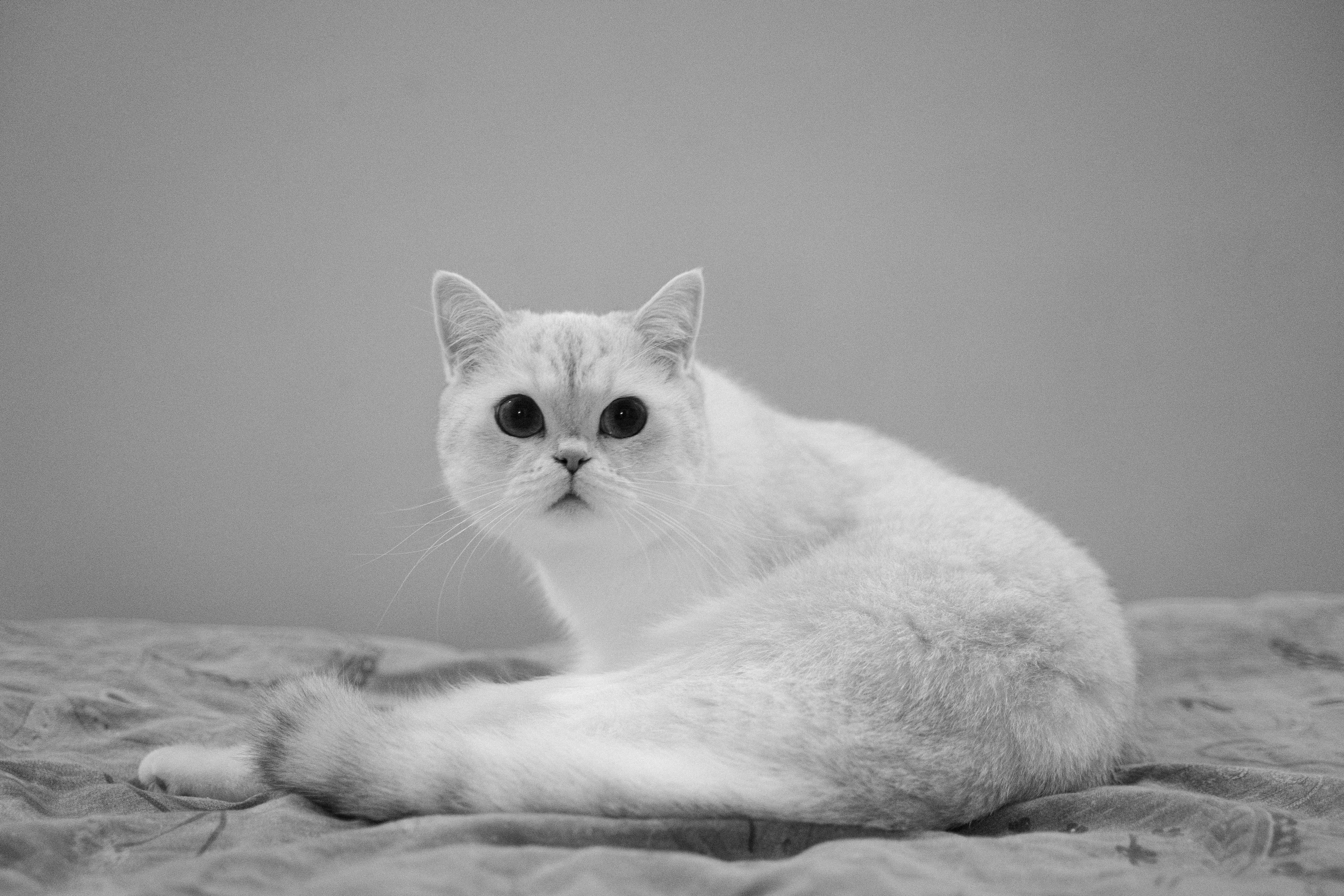 Photo by franceeesca_f