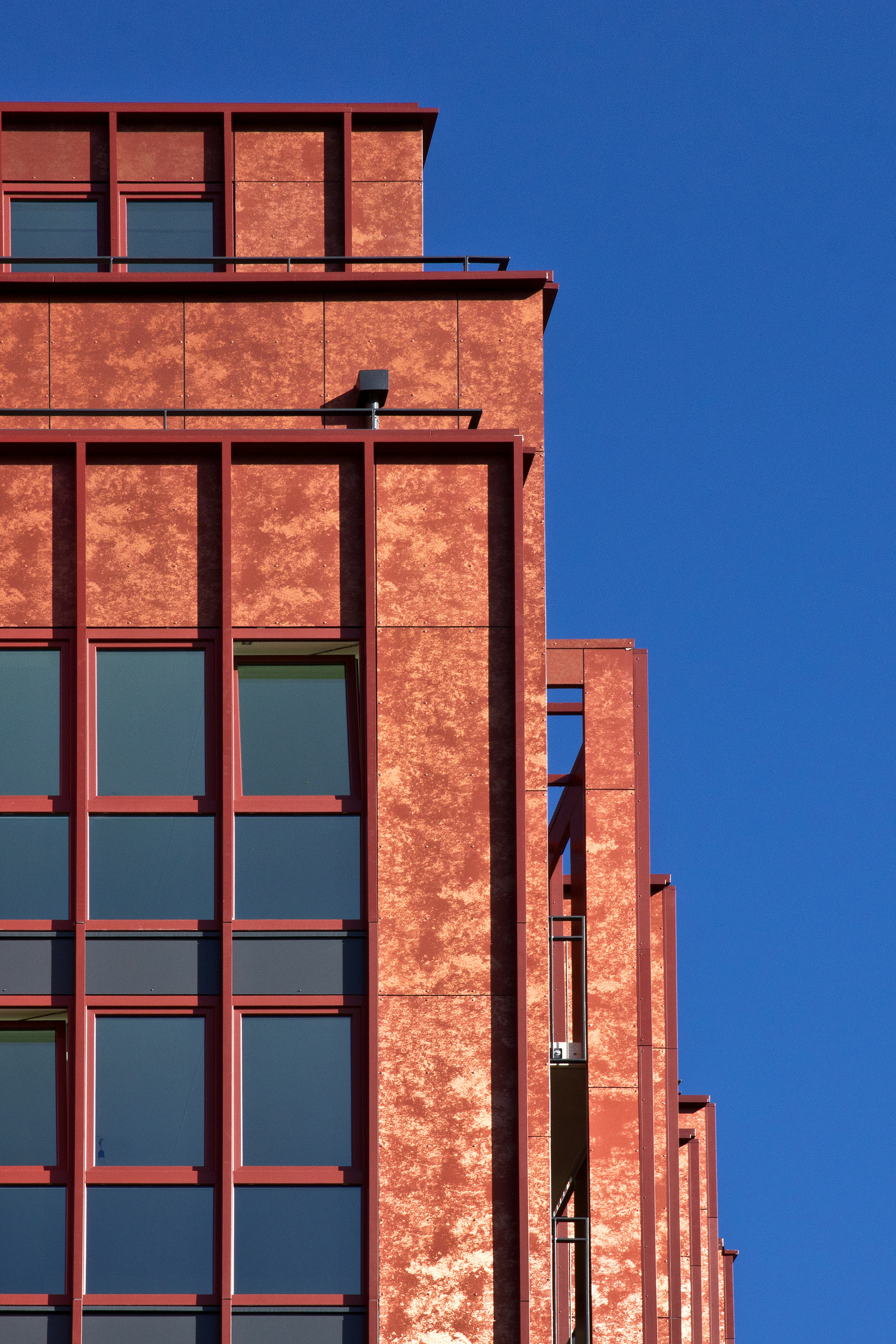 Photo by conniedevries