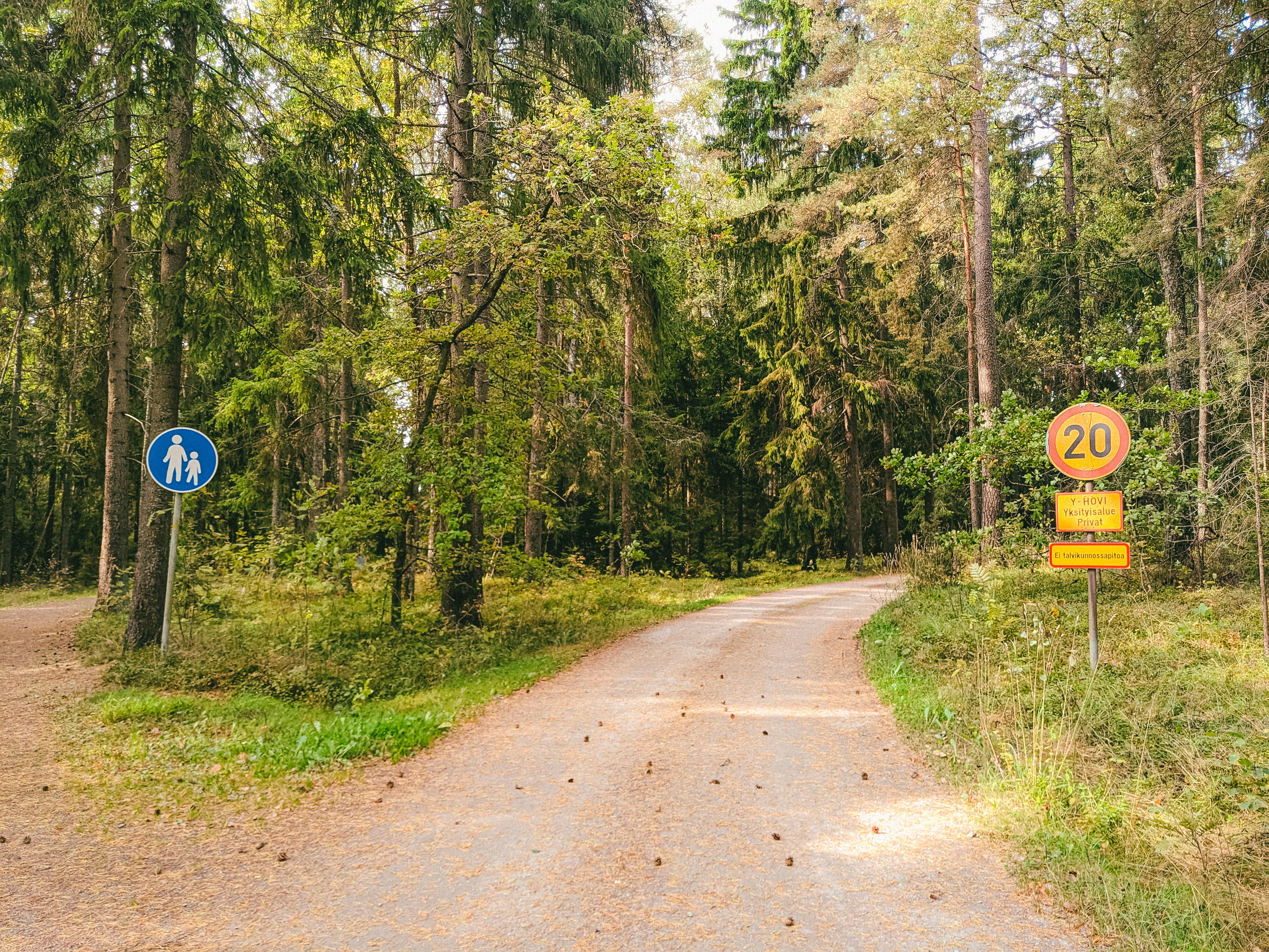 Dirt road in a forest with signs