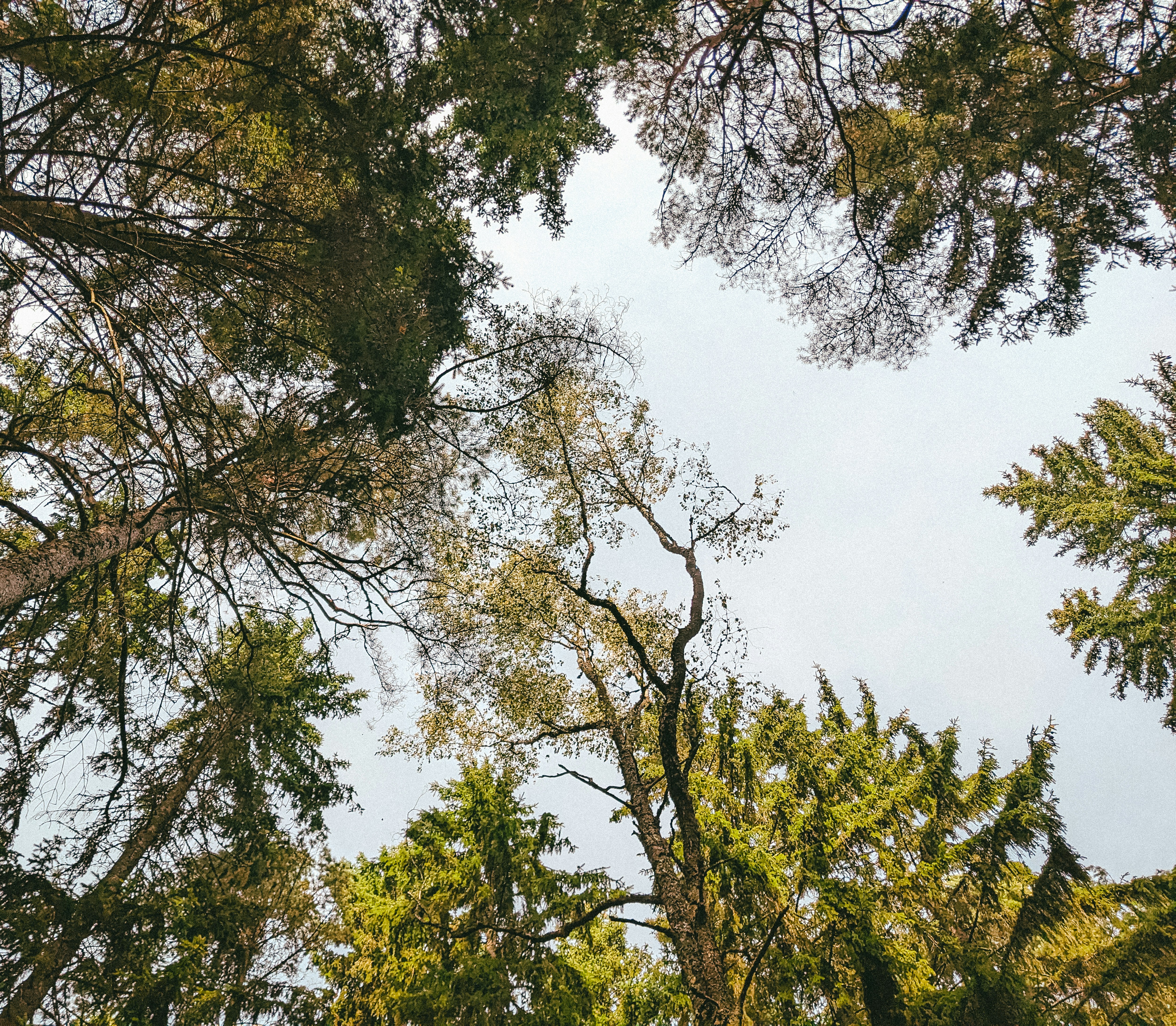 Photo by itsaroadmap