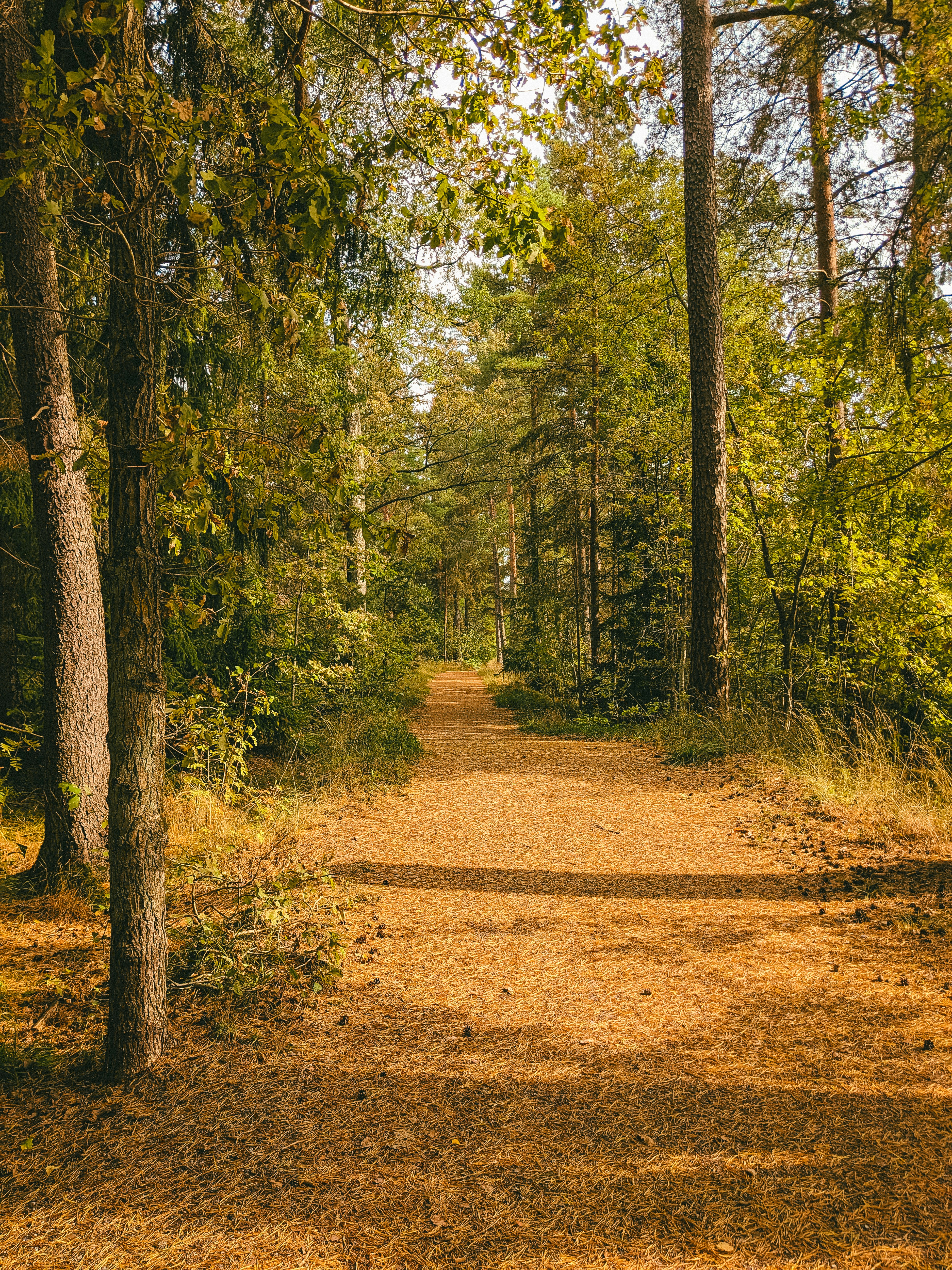 Photo by itsaroadmap