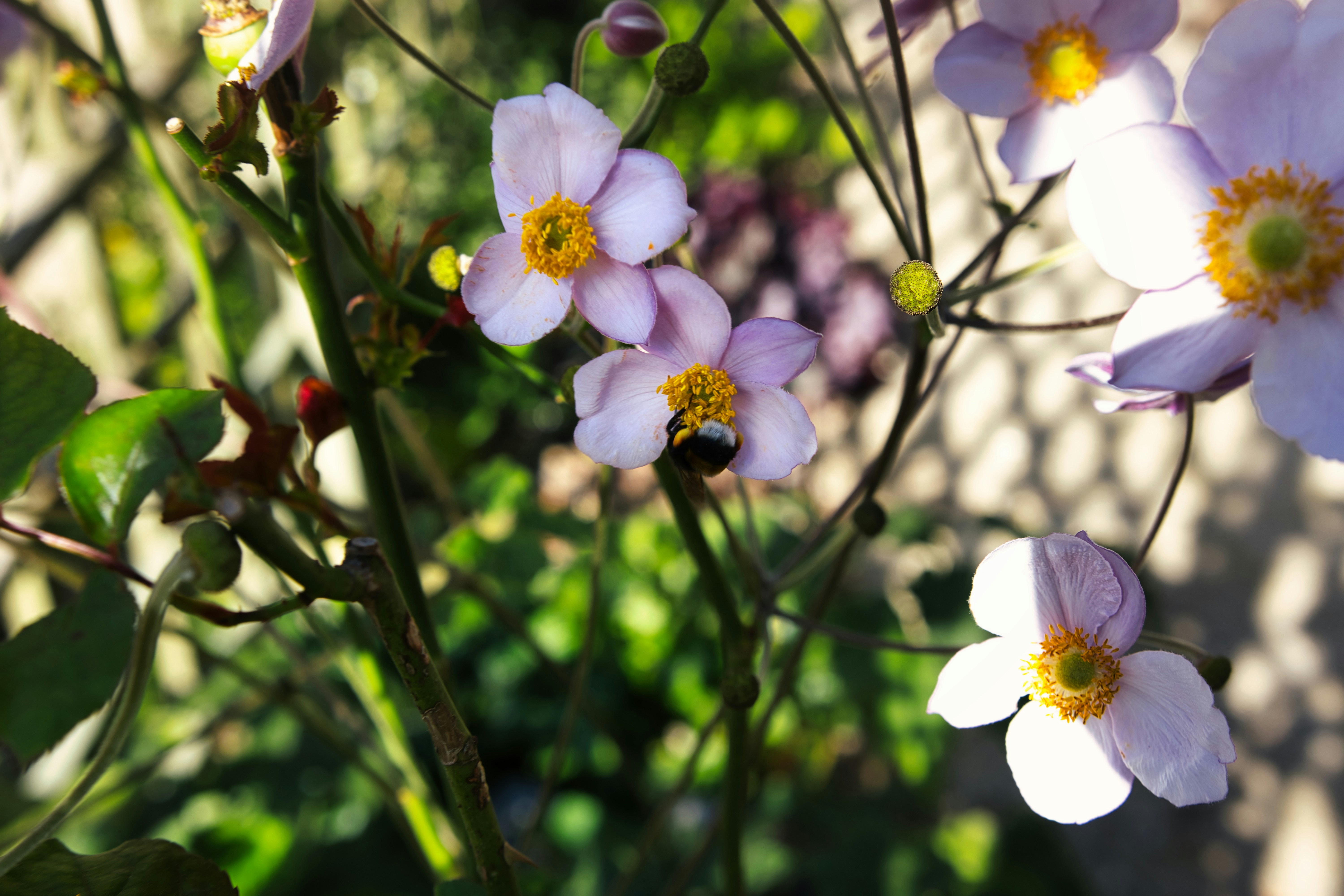 Photo by paws_and_prints