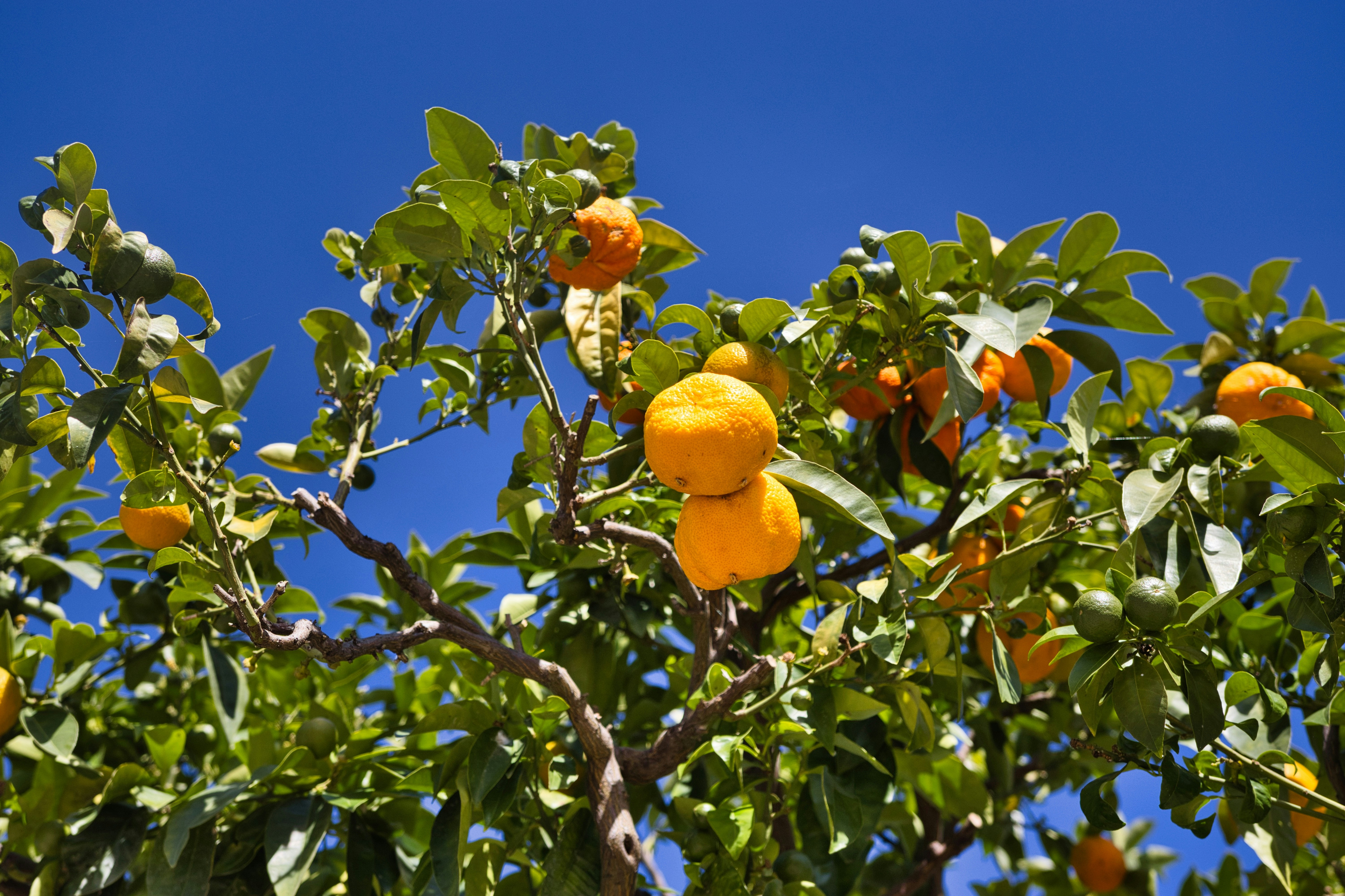 Photo by paws_and_prints