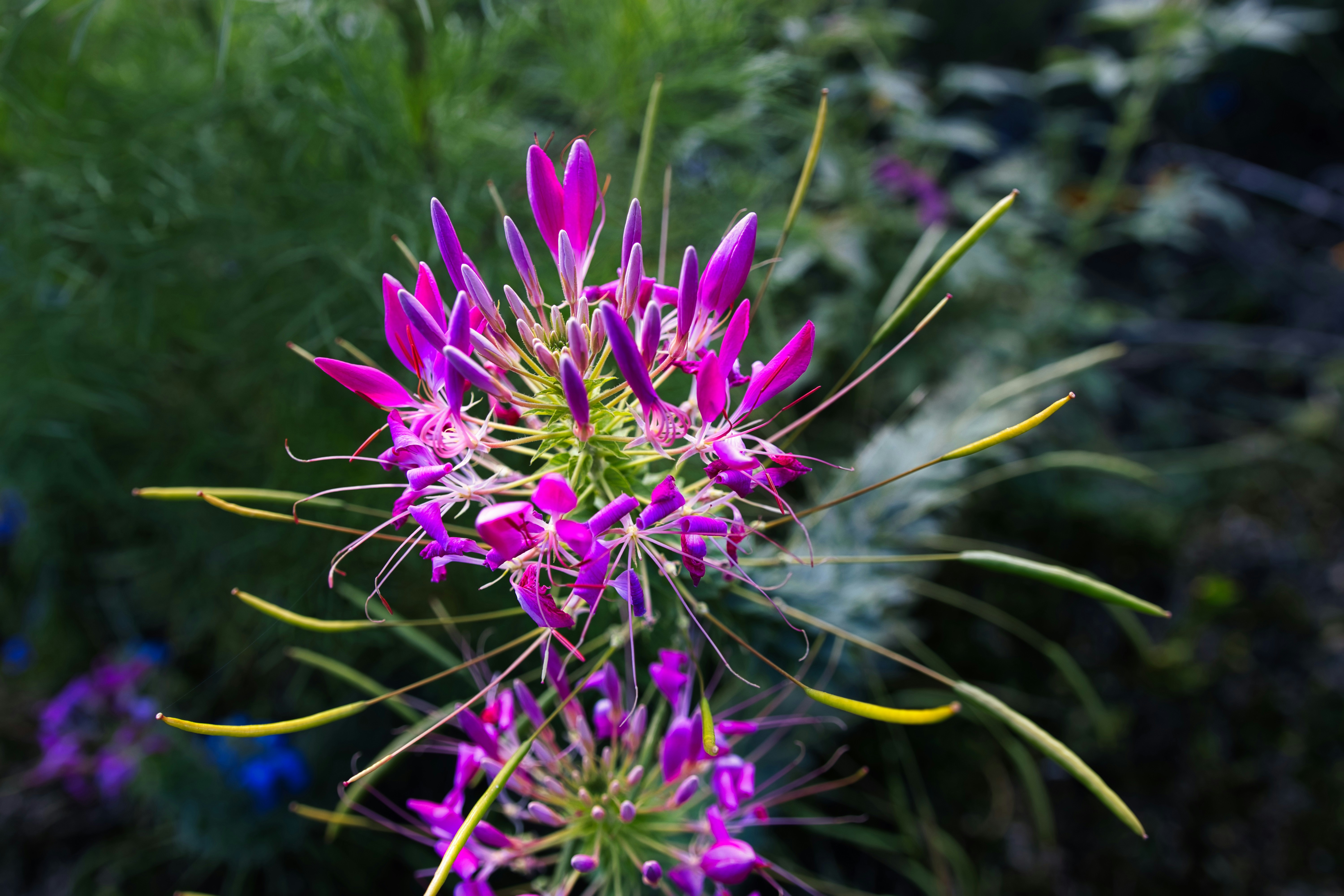 Photo by paws_and_prints