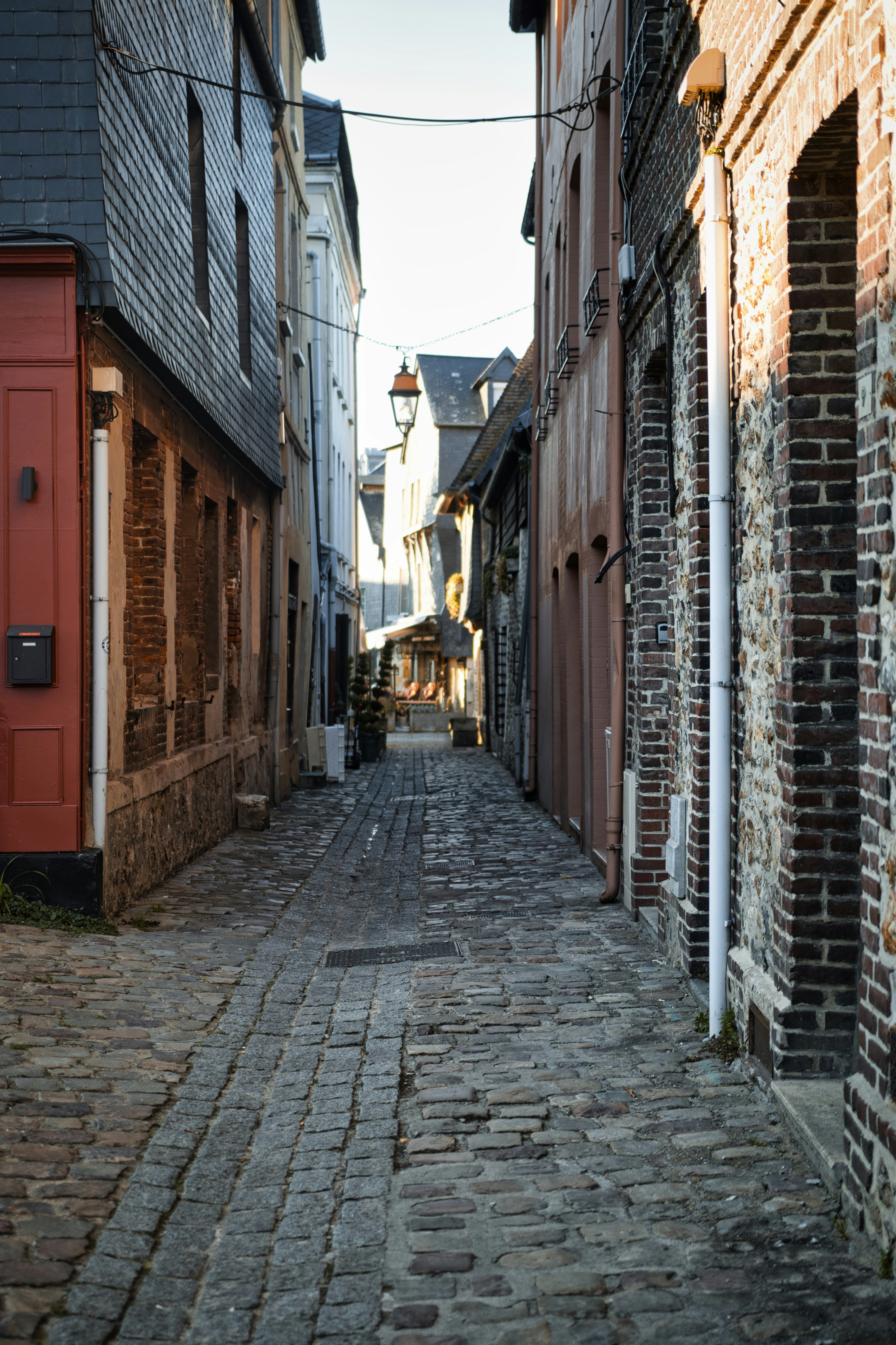 Photo by paws_and_prints