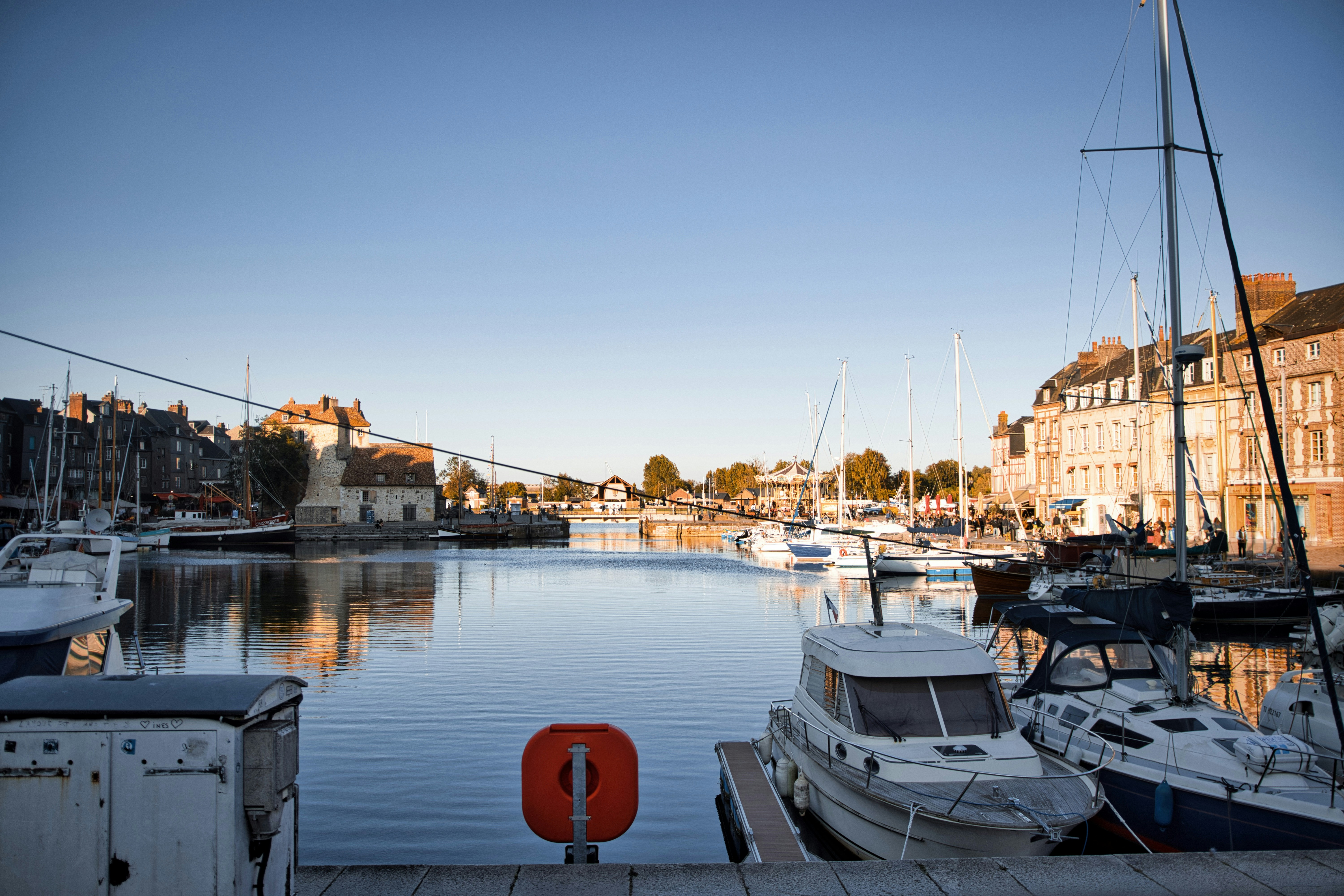 Photo by paws_and_prints