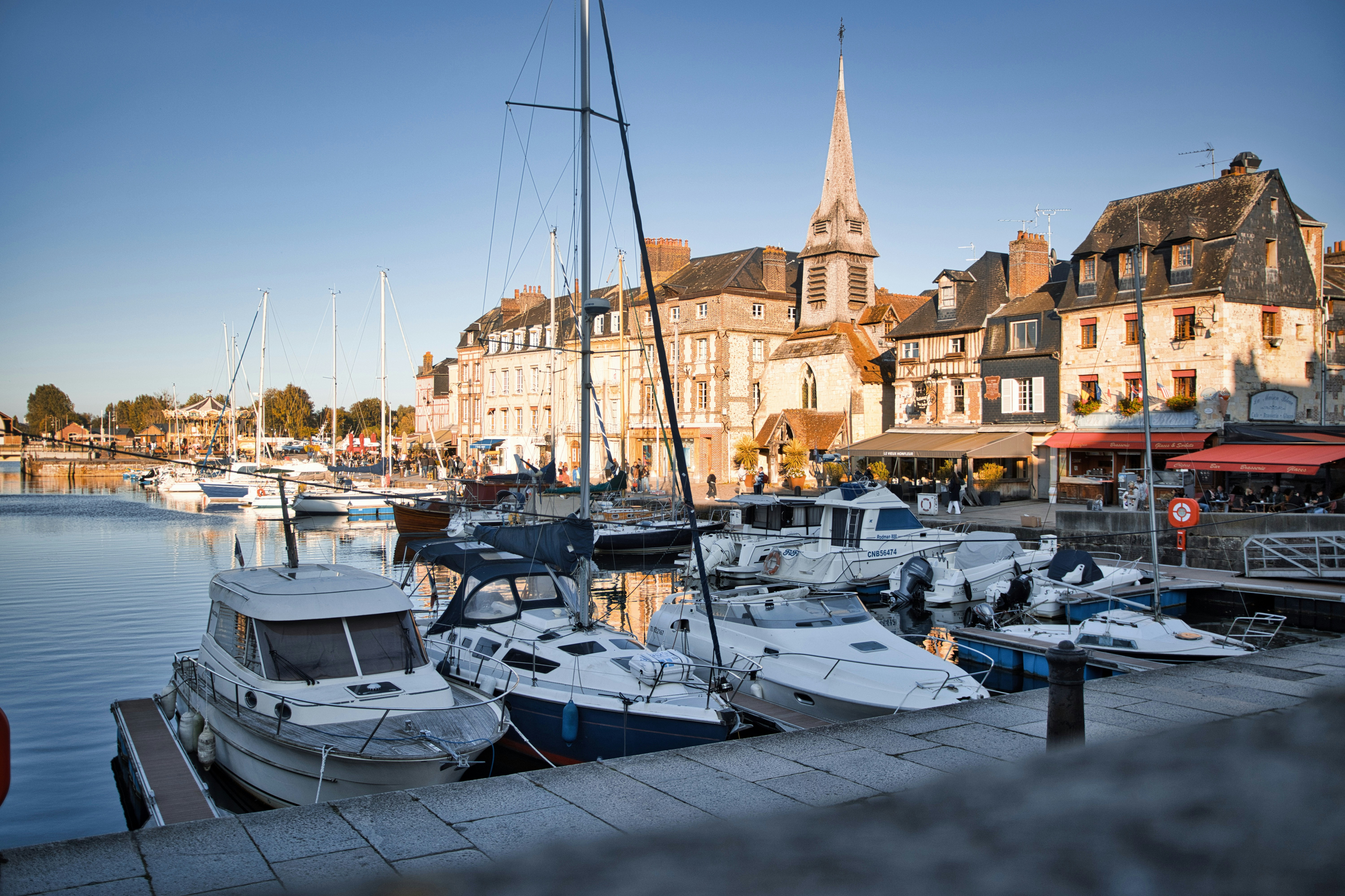 Photo by paws_and_prints