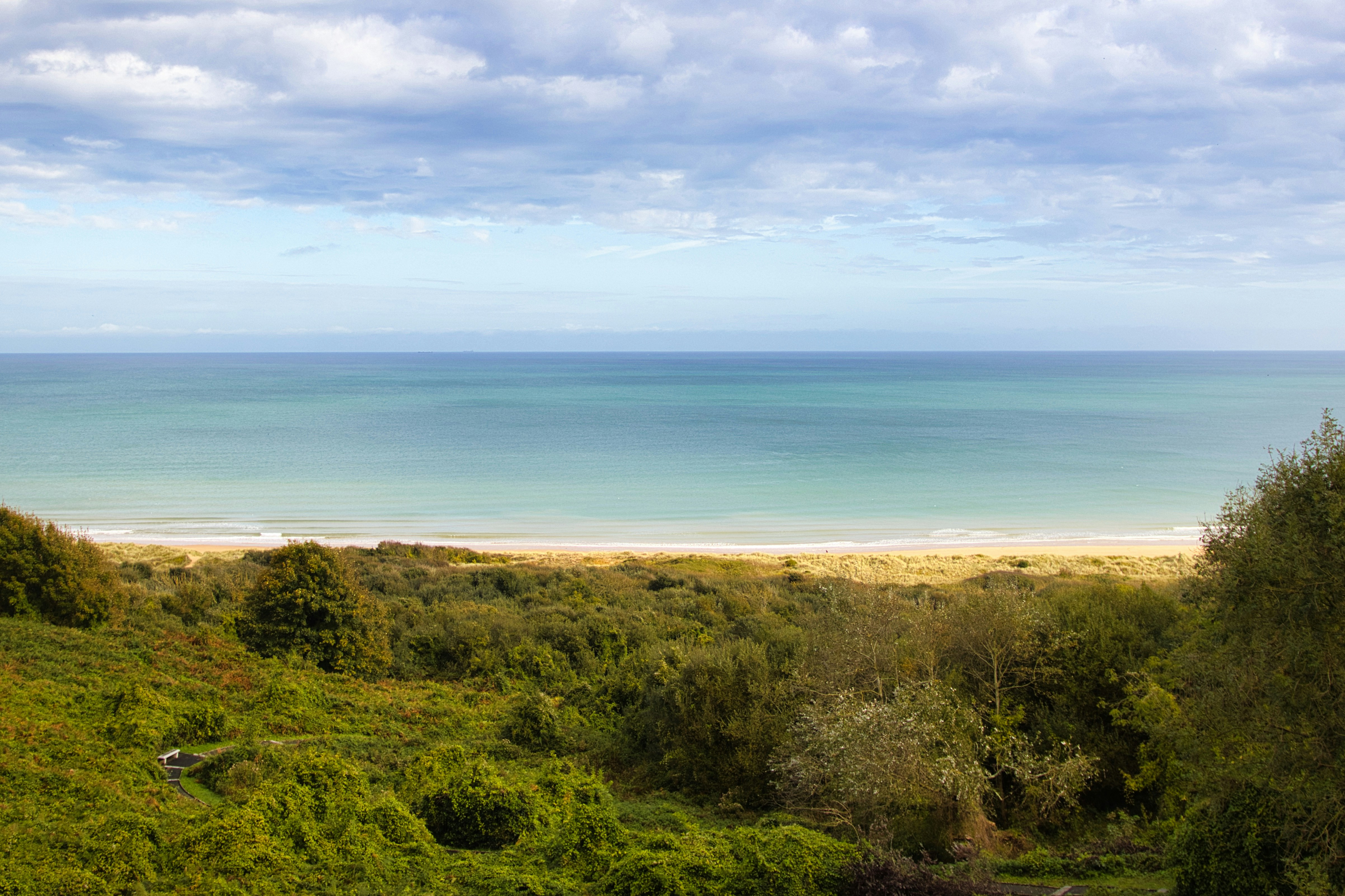 Photo by paws_and_prints