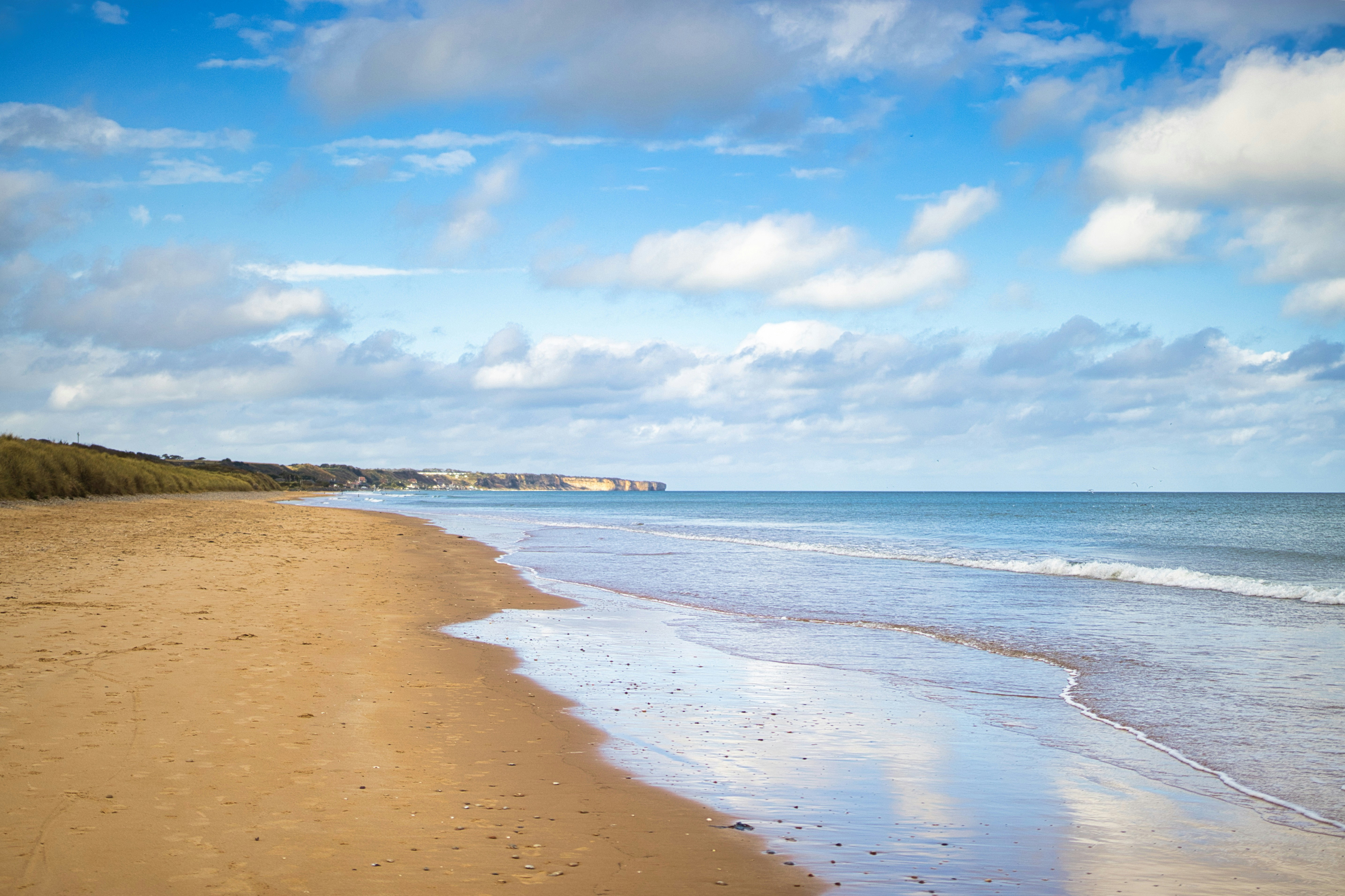 Photo by paws_and_prints