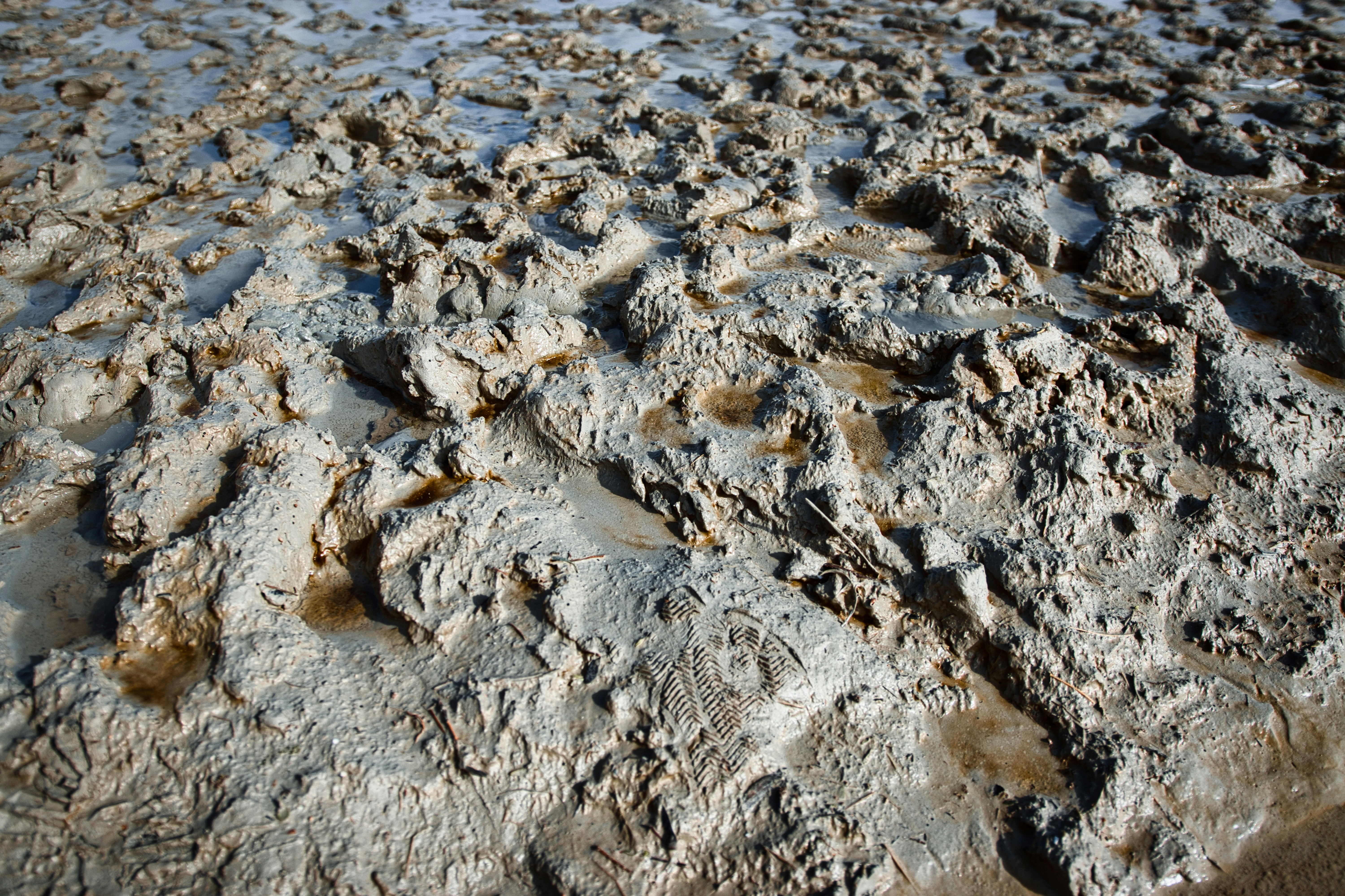 Photo by paws_and_prints