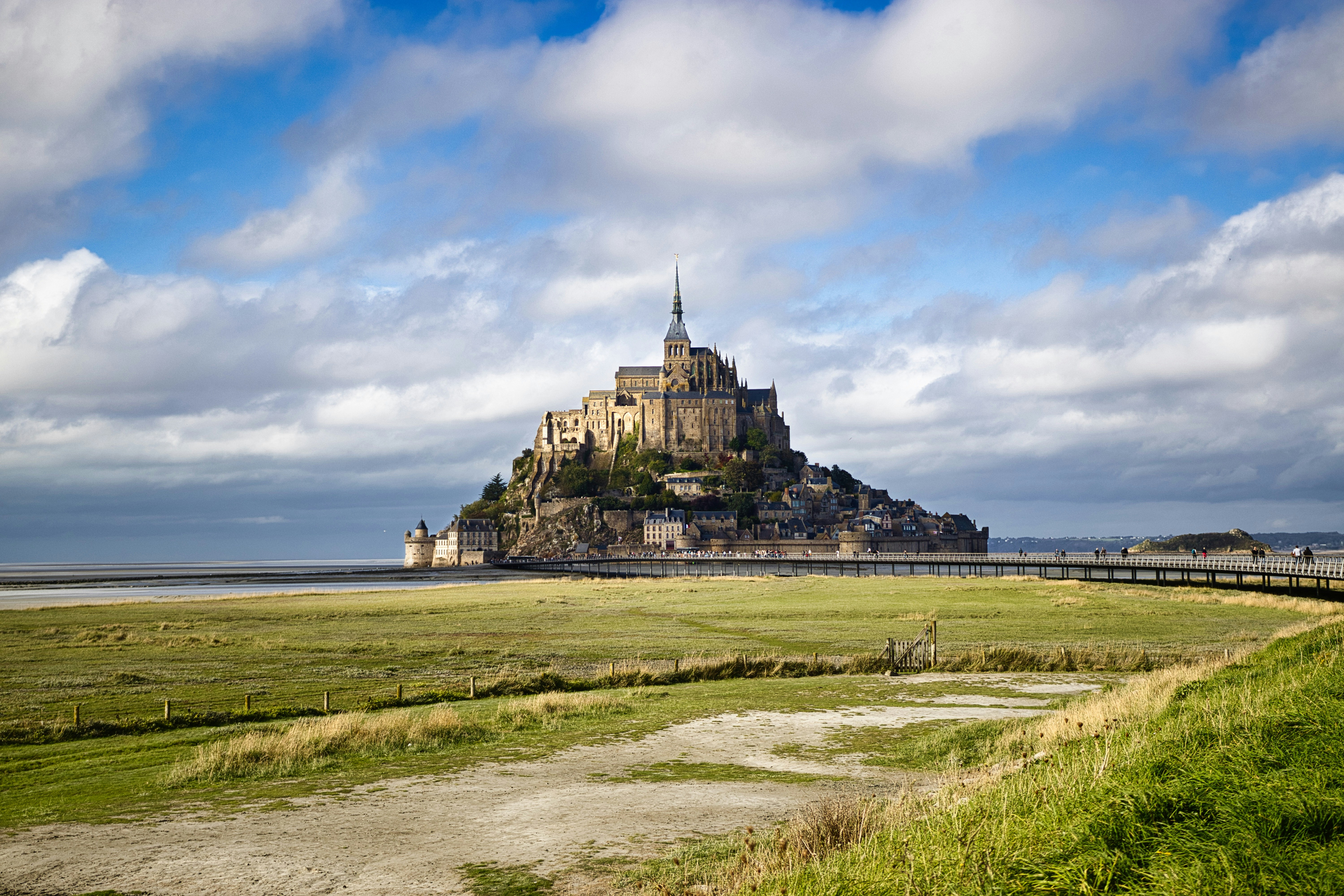 Photo by paws_and_prints