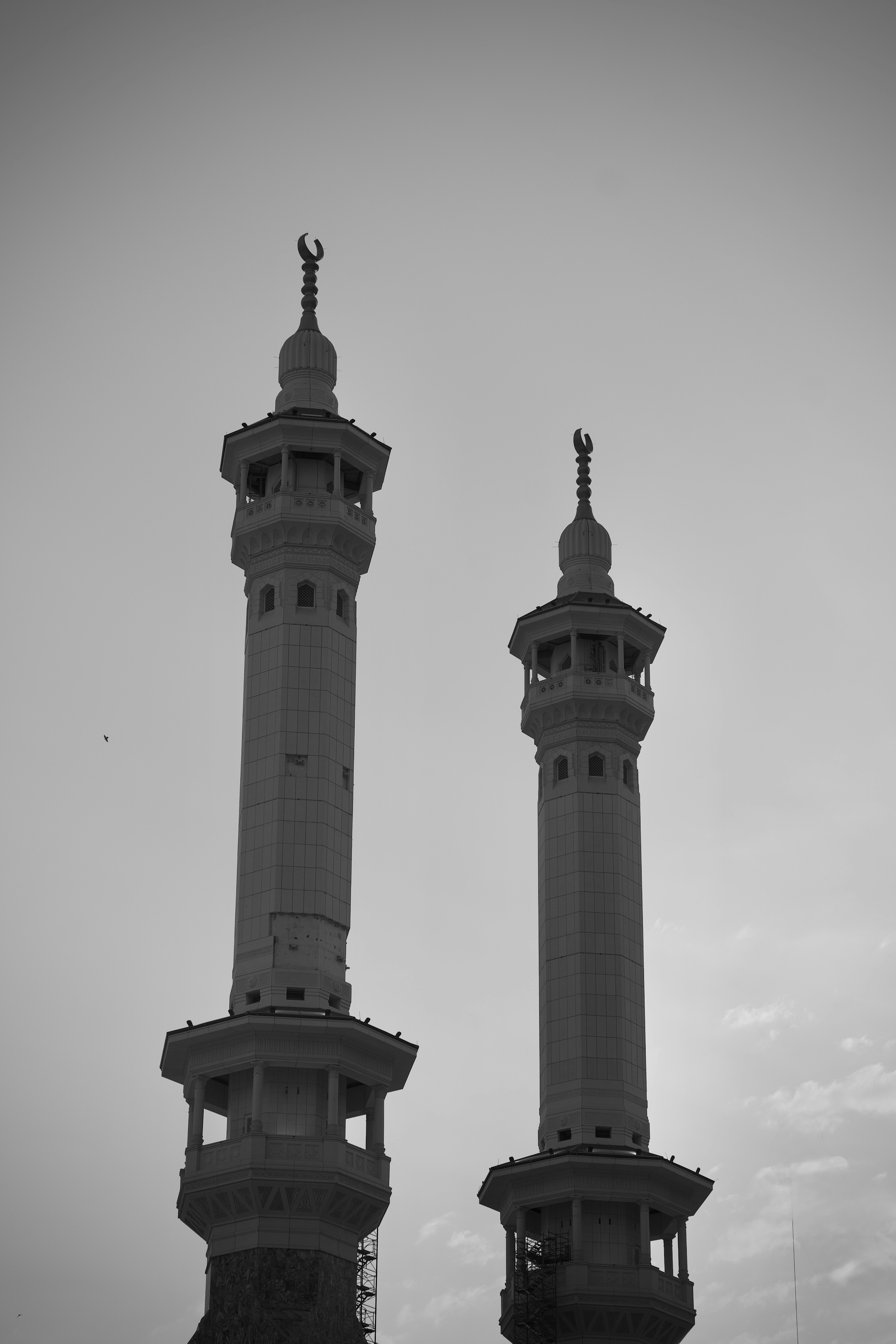 Photo by hisham_zayadneh