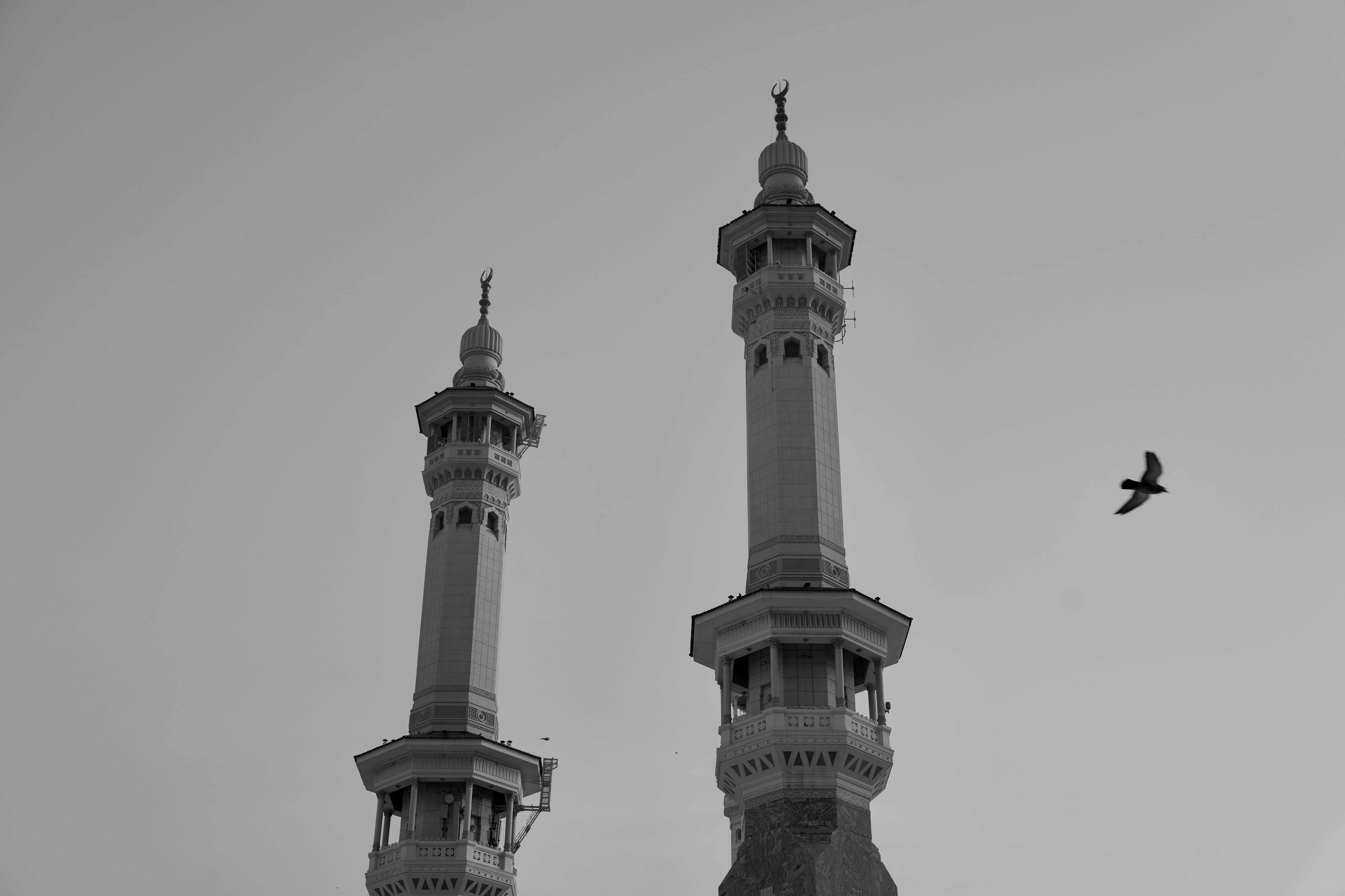 Photo by hisham_zayadneh