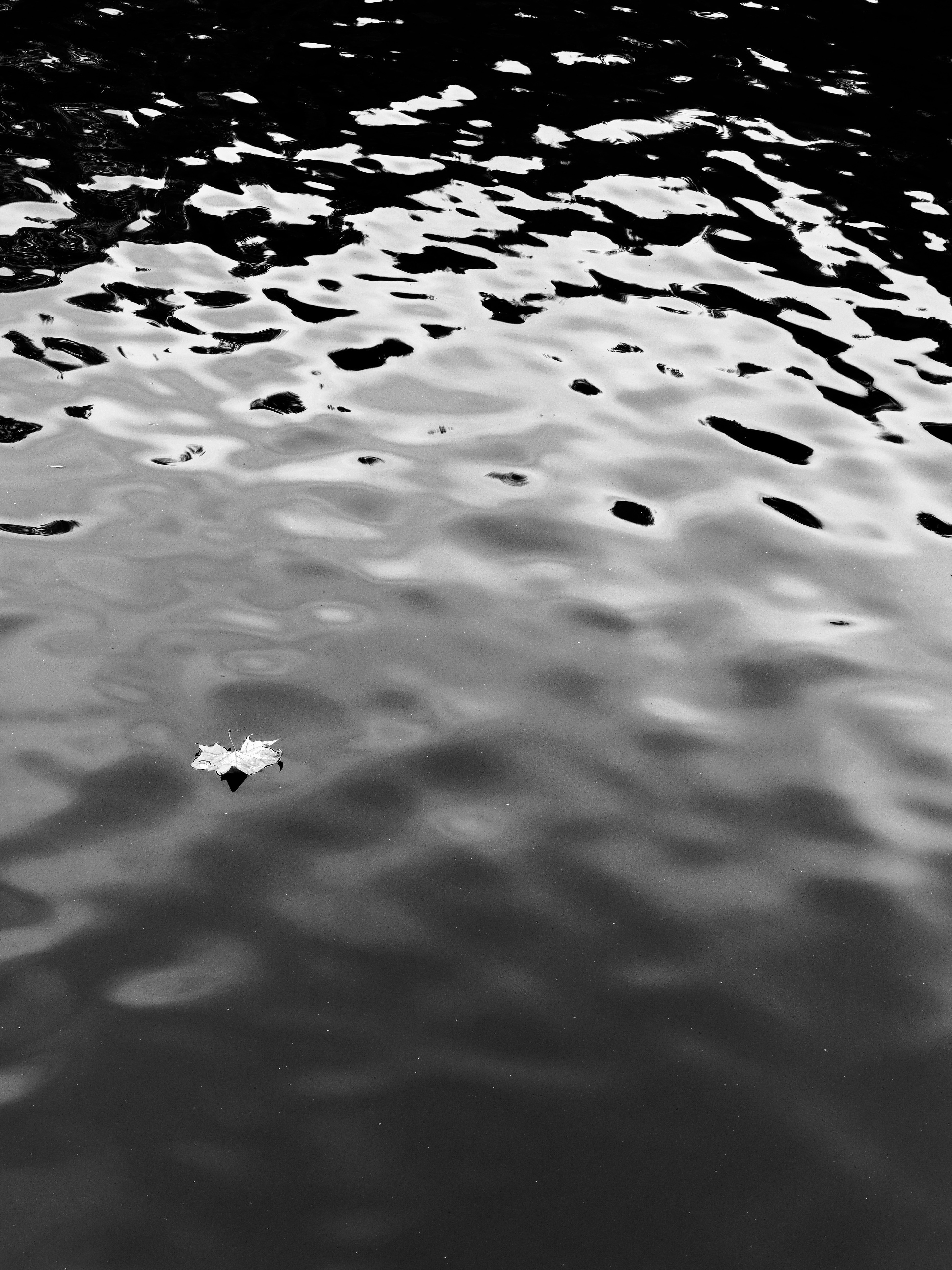 Photo by sschusterphotoart