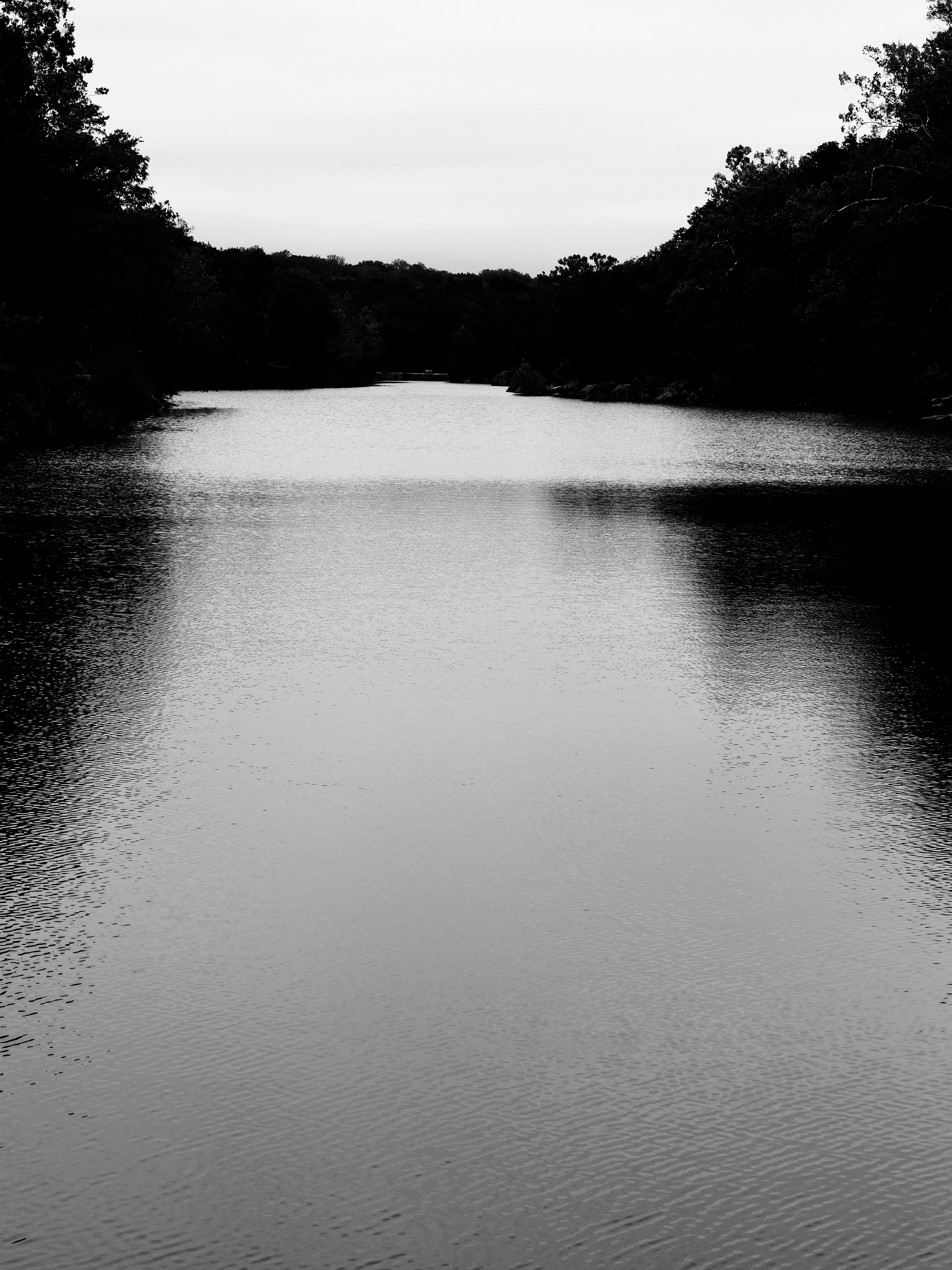 Photo by sschusterphotoart