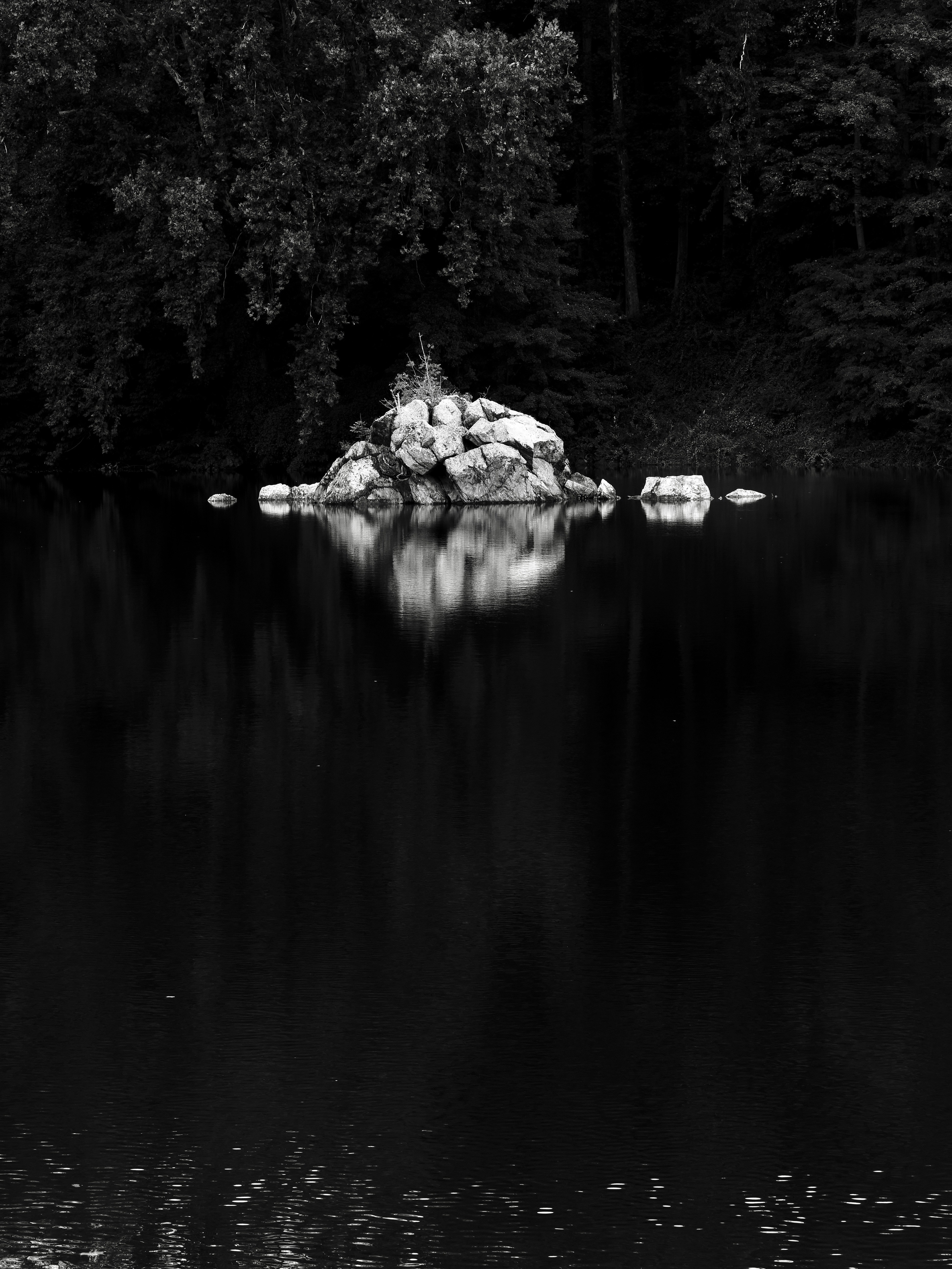 Photo by sschusterphotoart