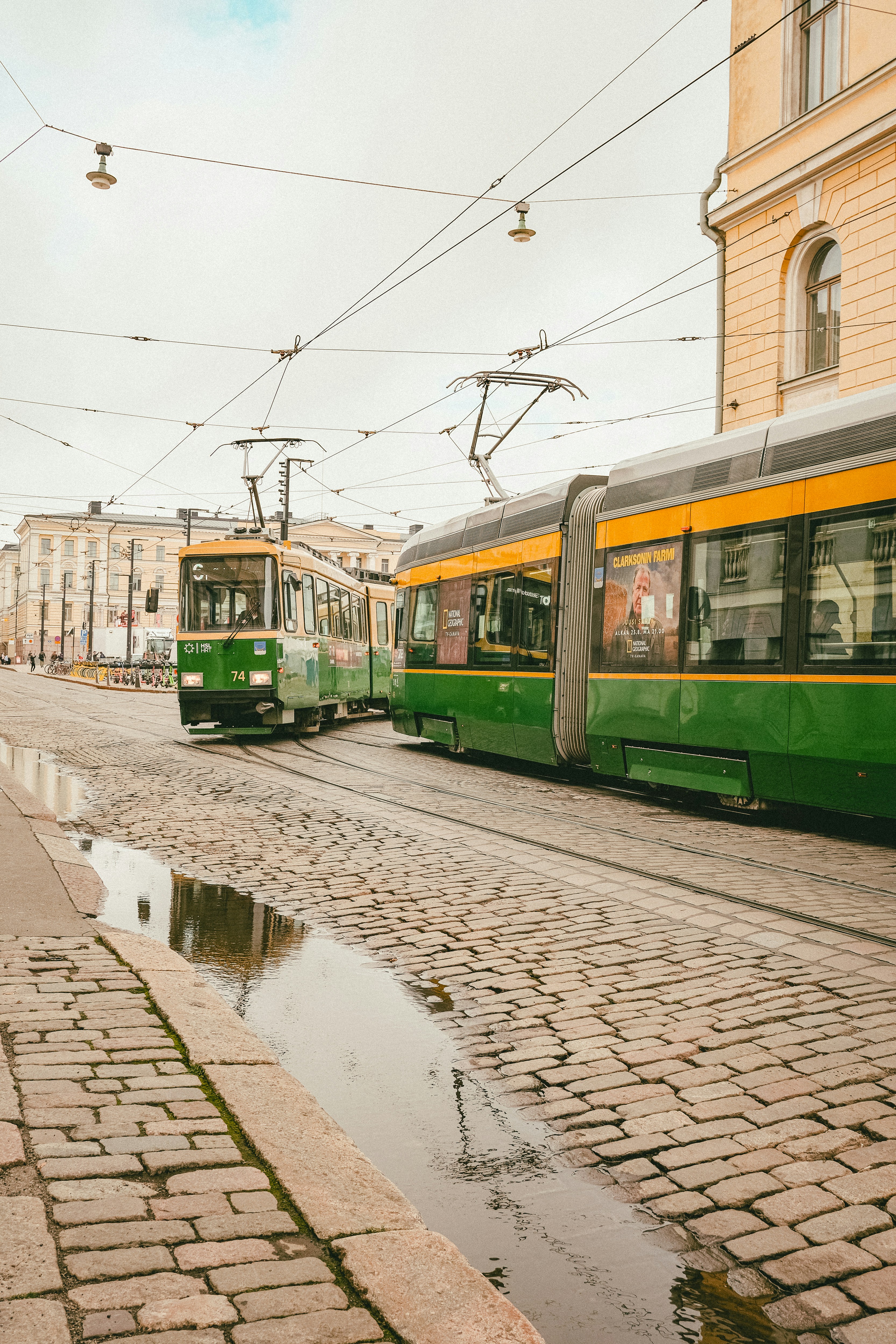 Green trams on a cobblestone street after rain