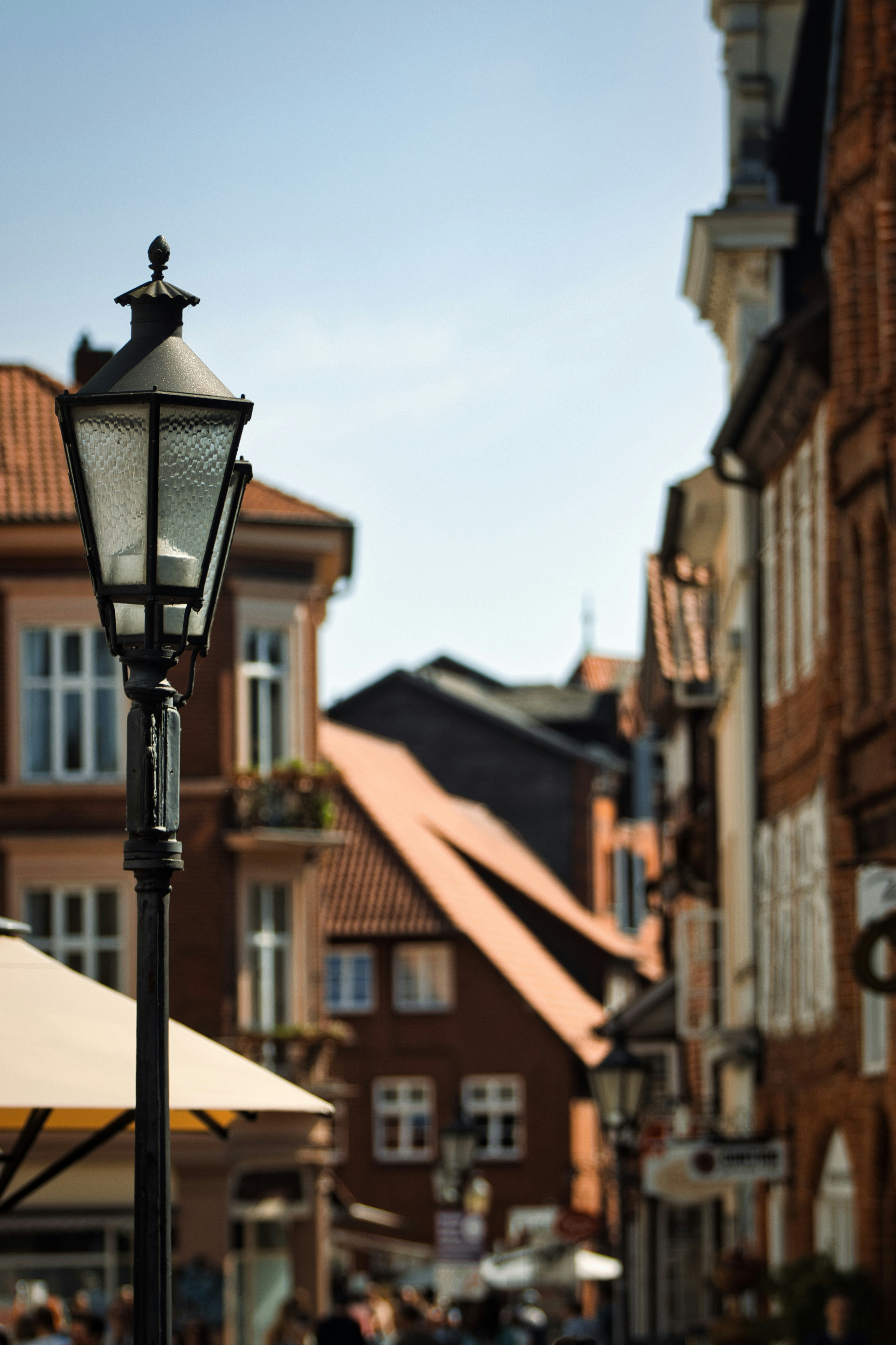 Photo by paws_and_prints