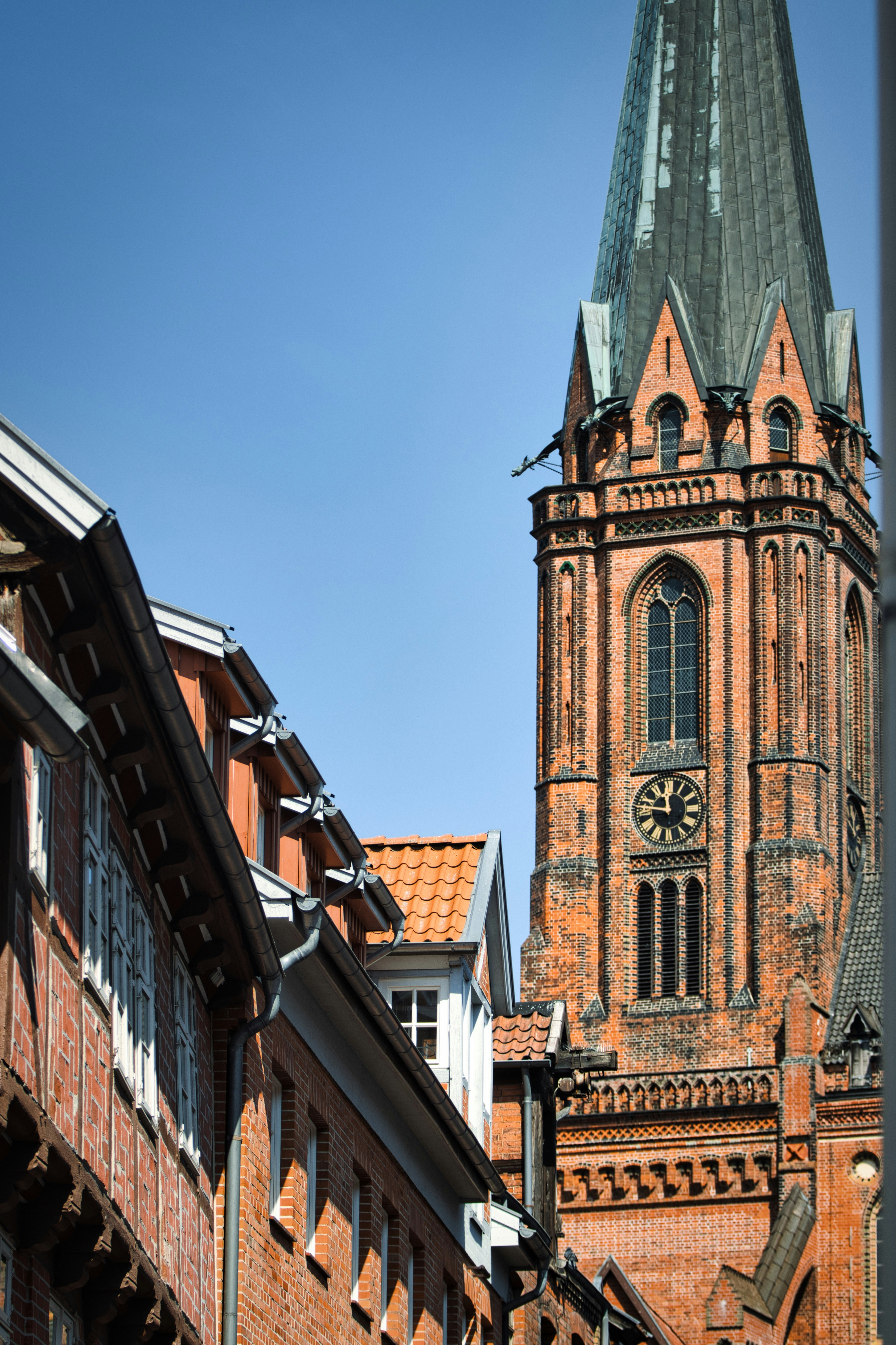 Photo by paws_and_prints