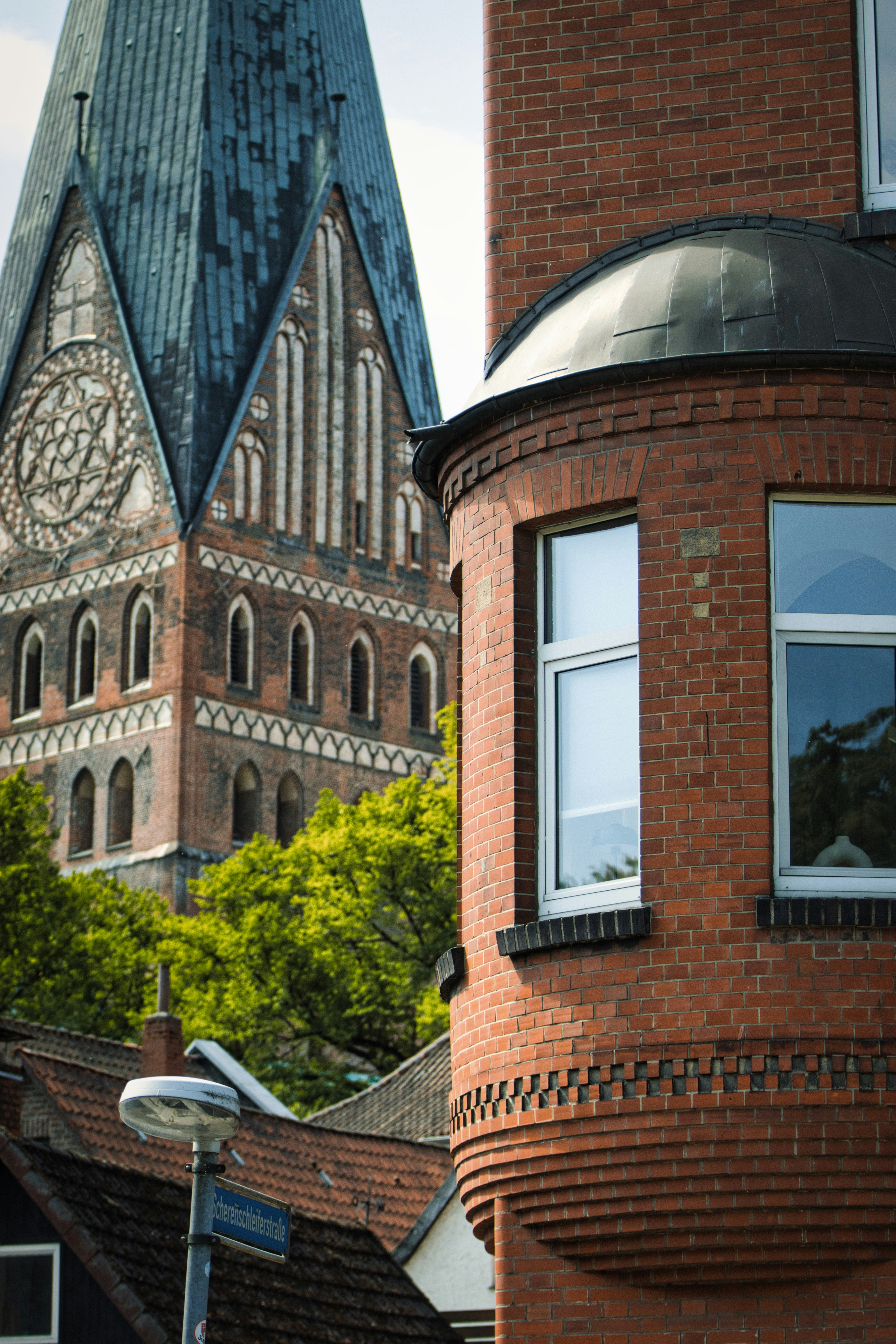 Photo by paws_and_prints