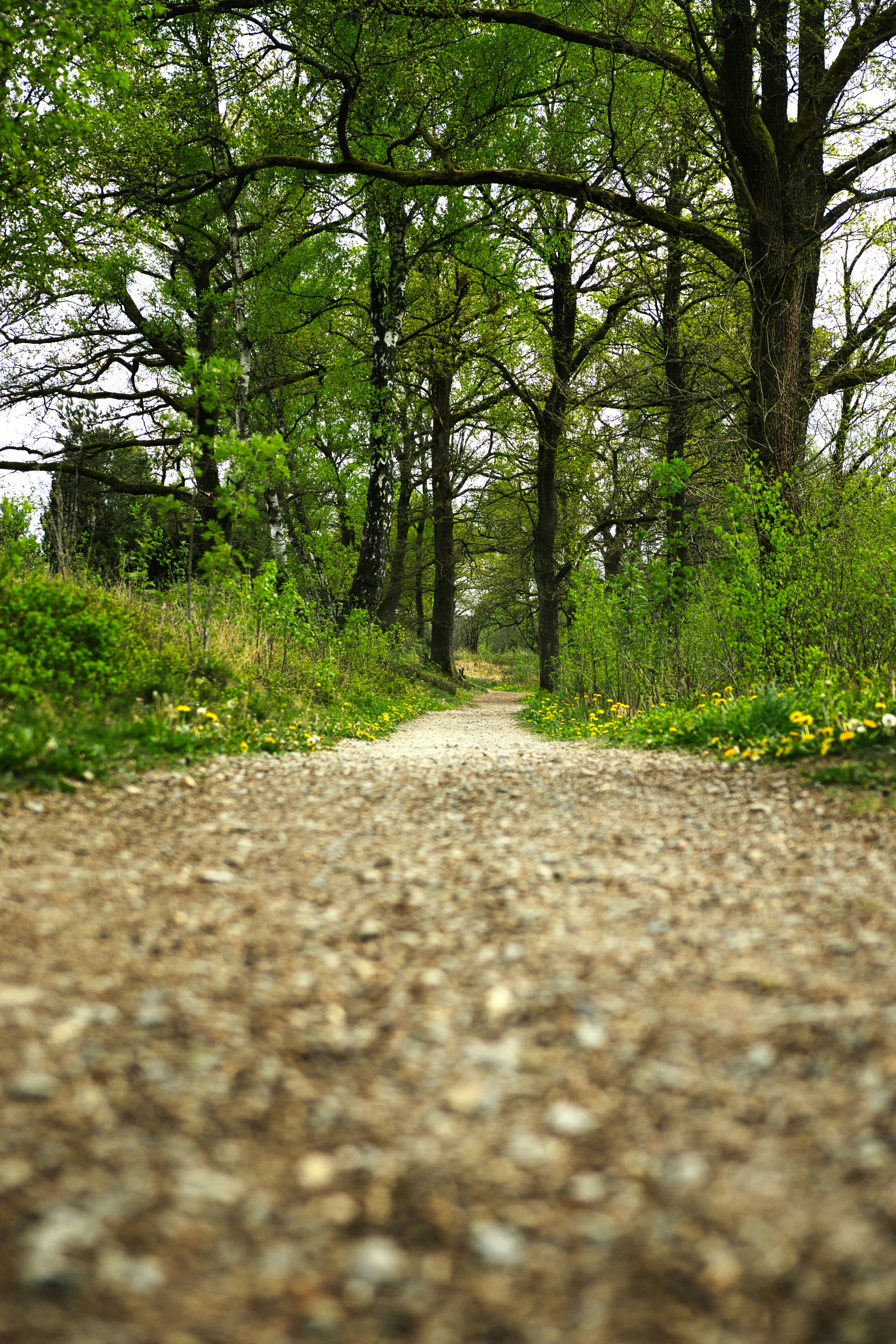 Photo by paws_and_prints