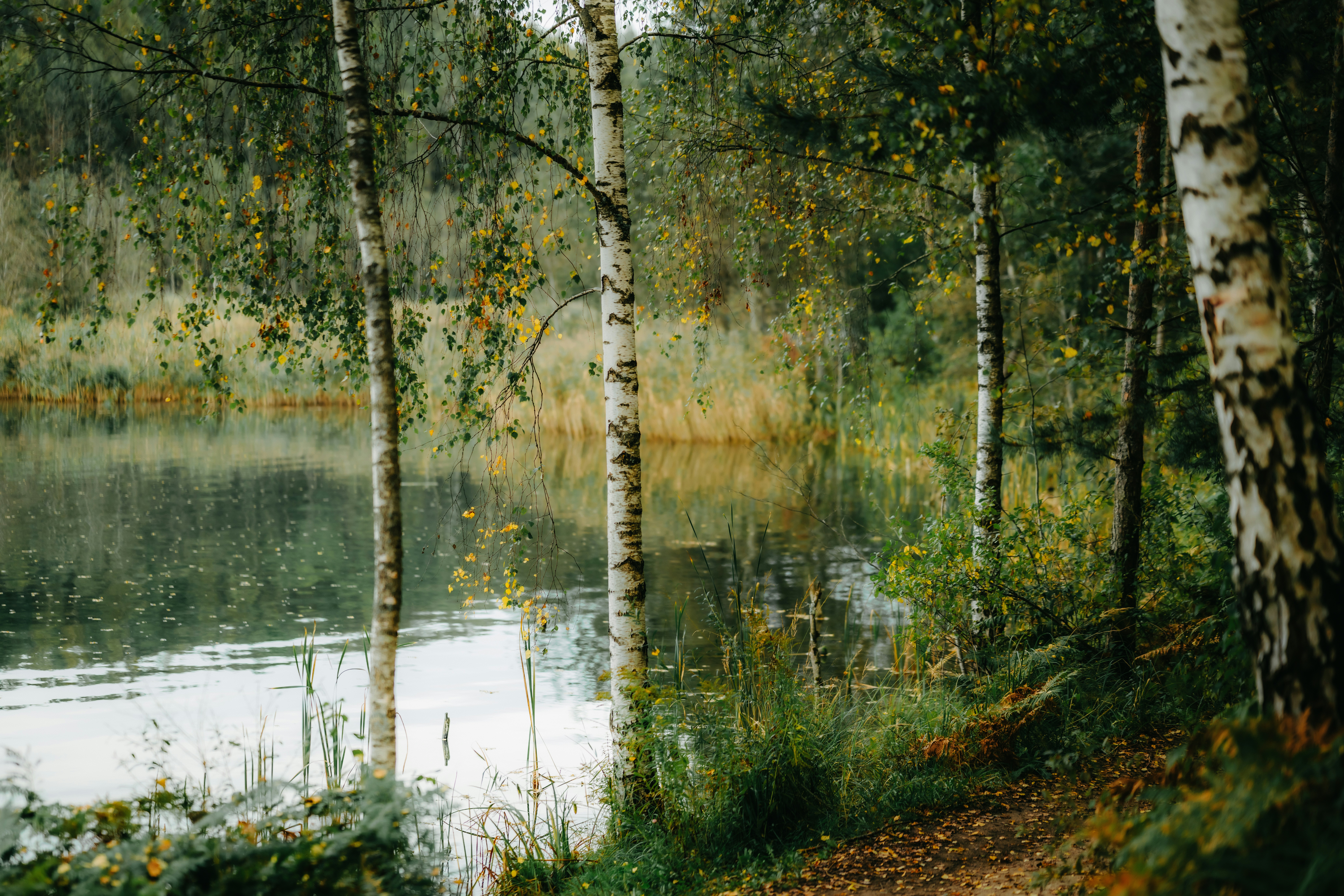 Photo by kristapsungurs