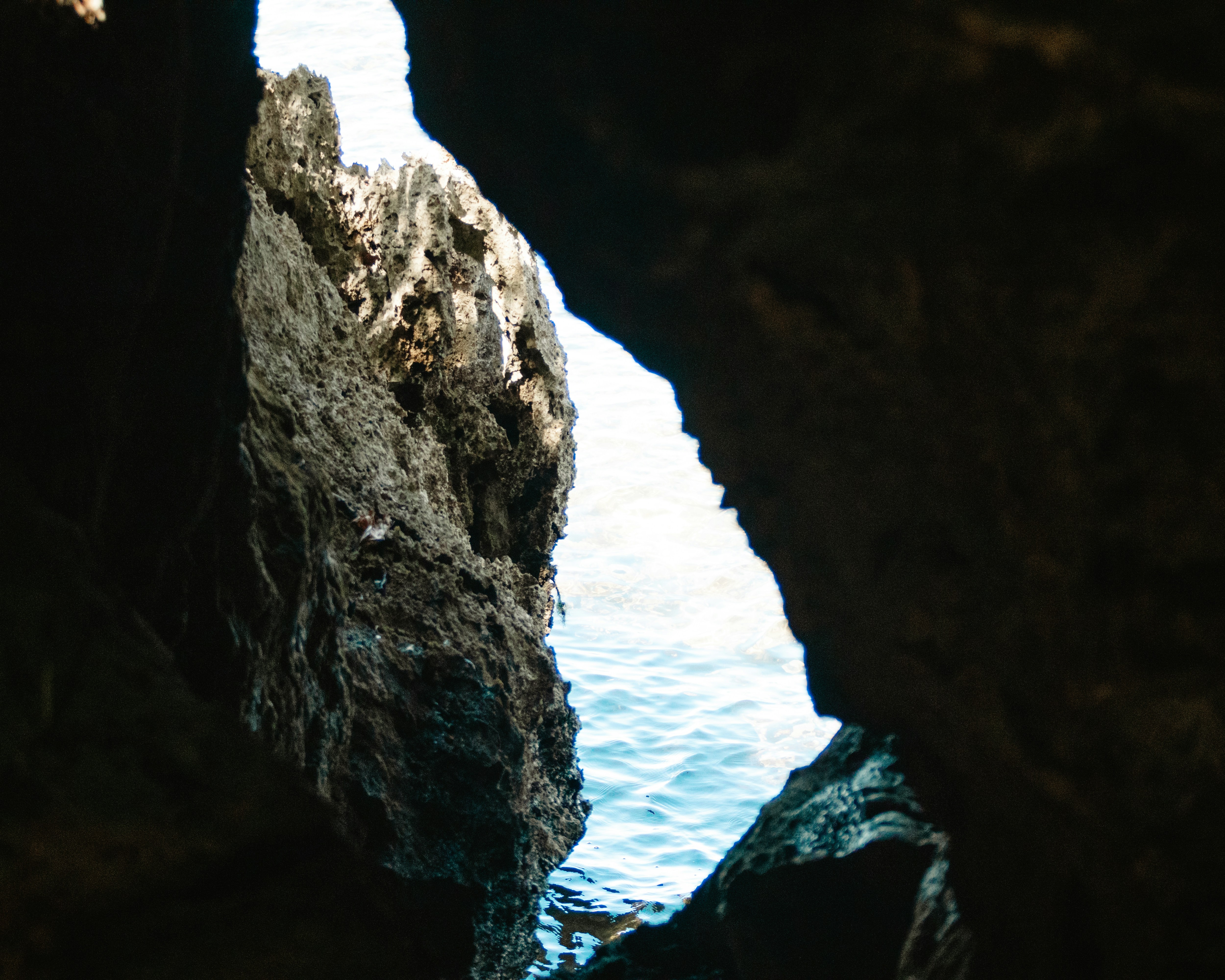 Photo by bhongbahala10