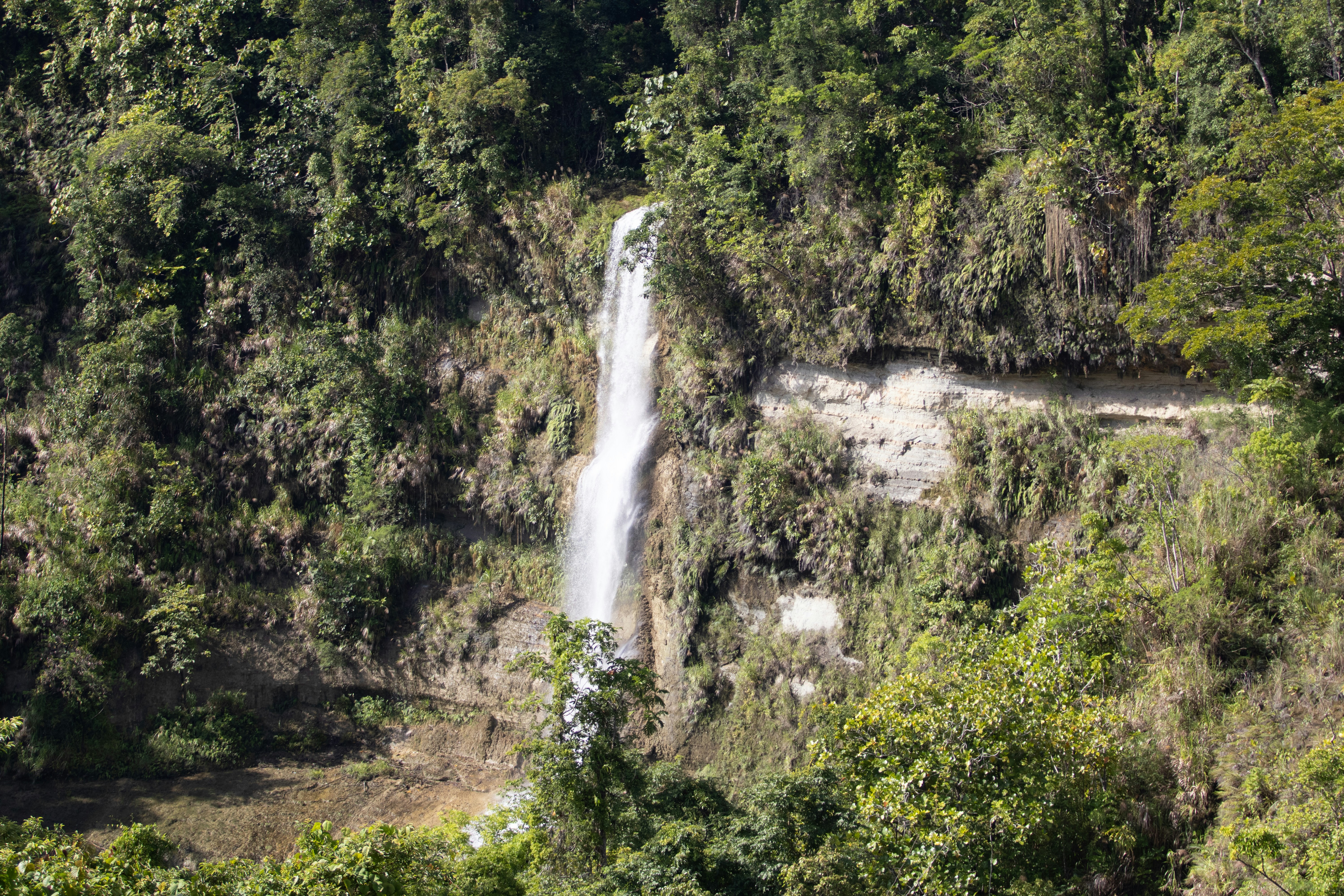 Photo by bhongbahala10