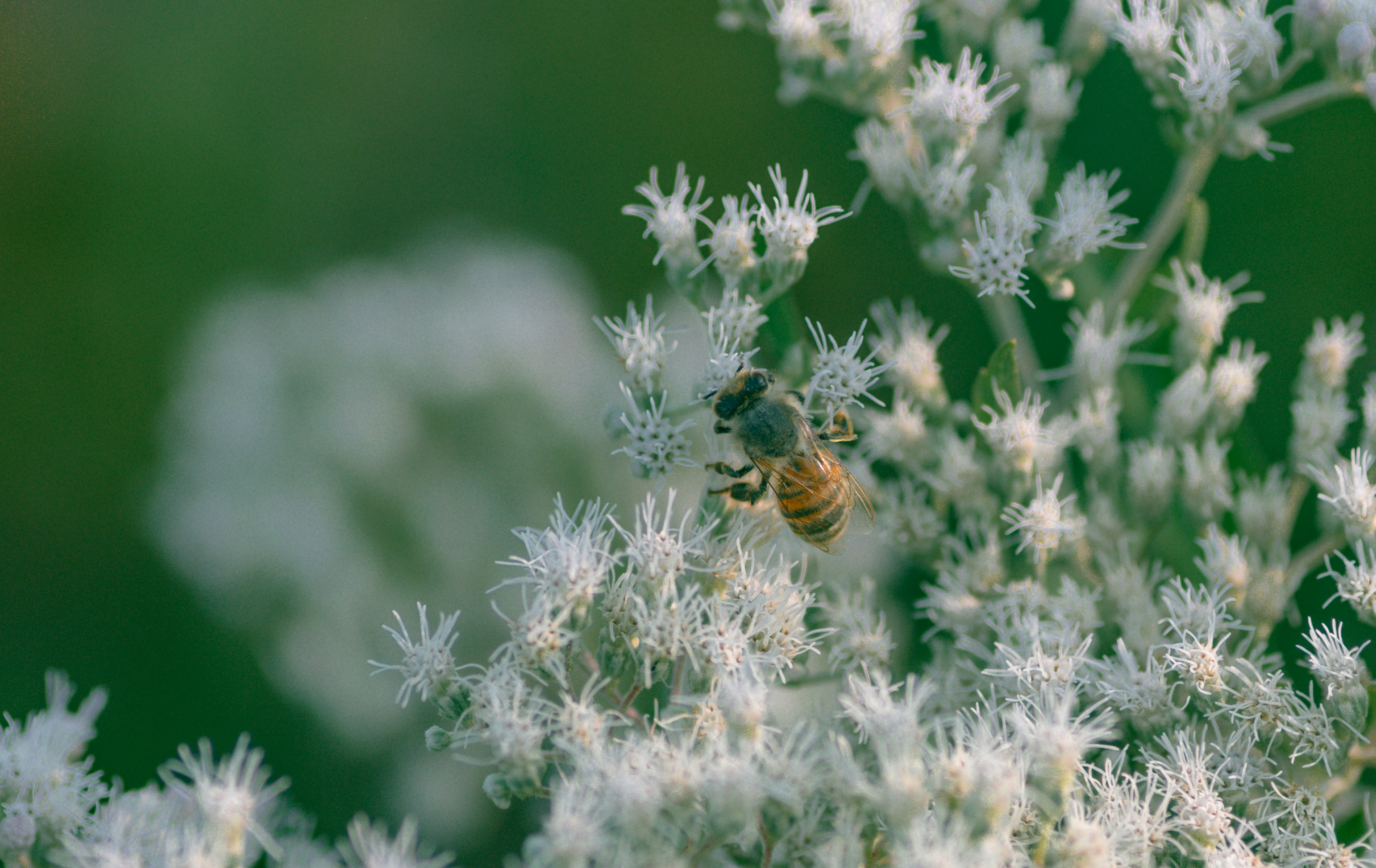 Photo by renatakneedham