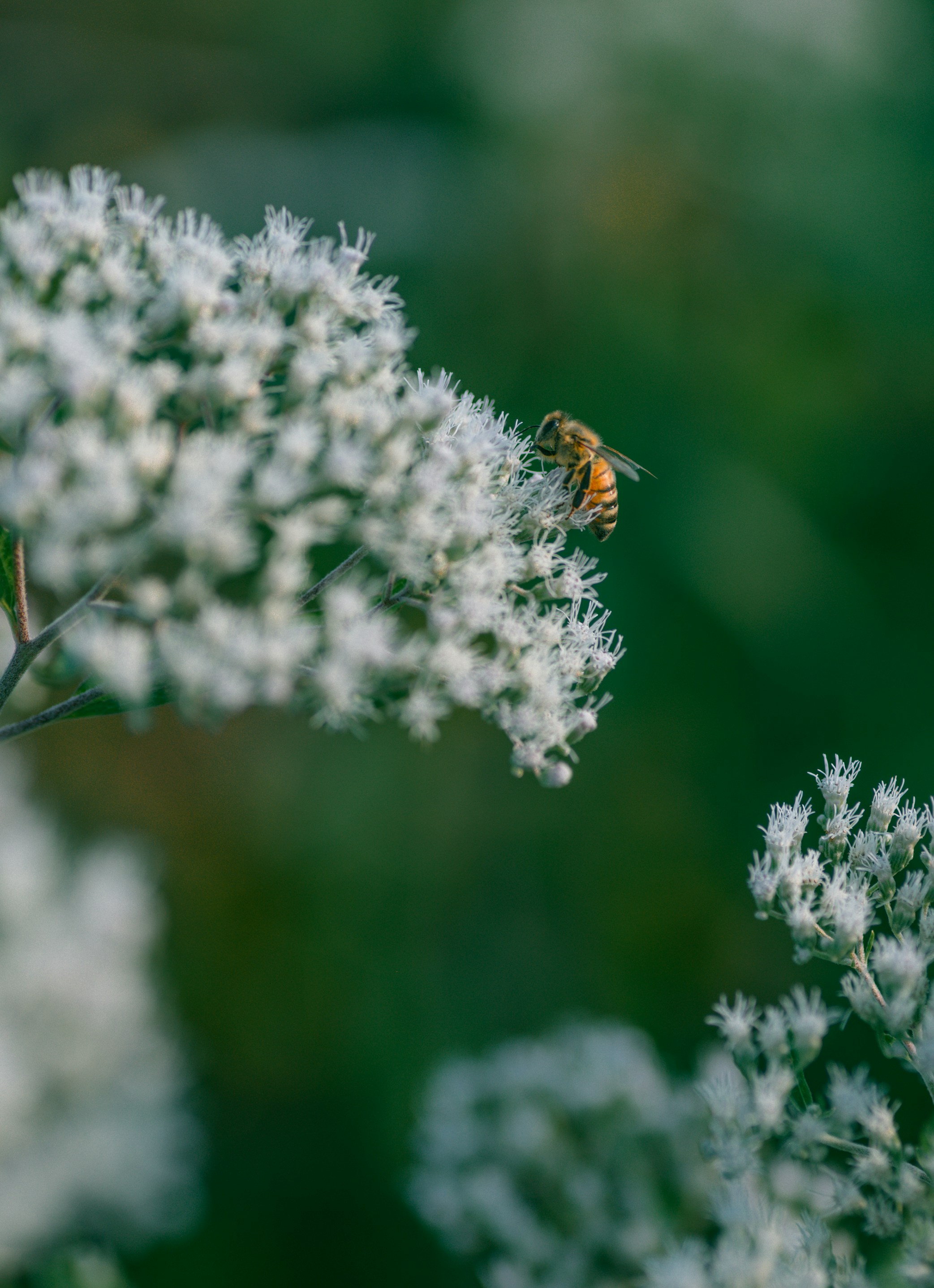 Photo by renatakneedham