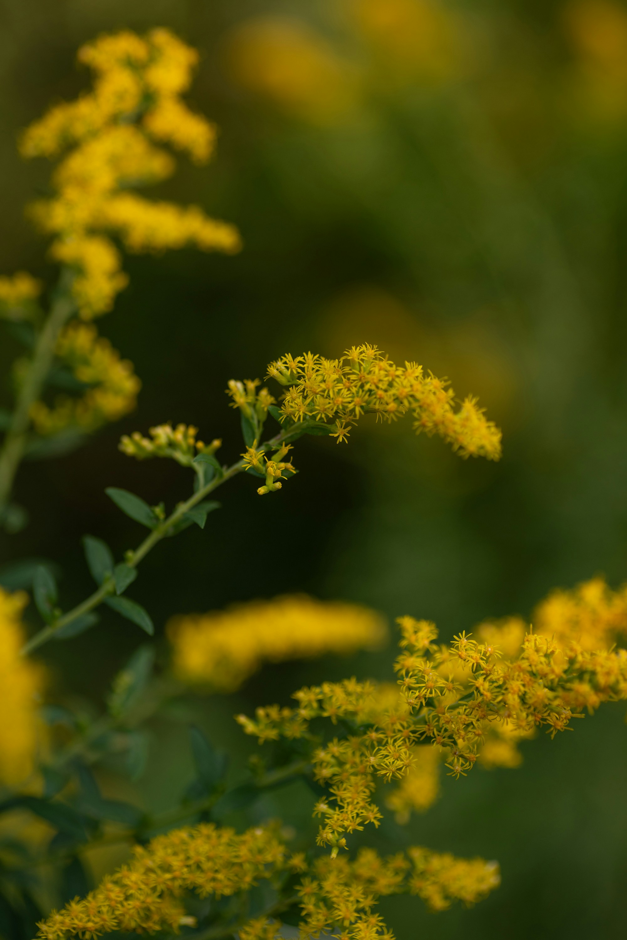 Photo by renatakneedham