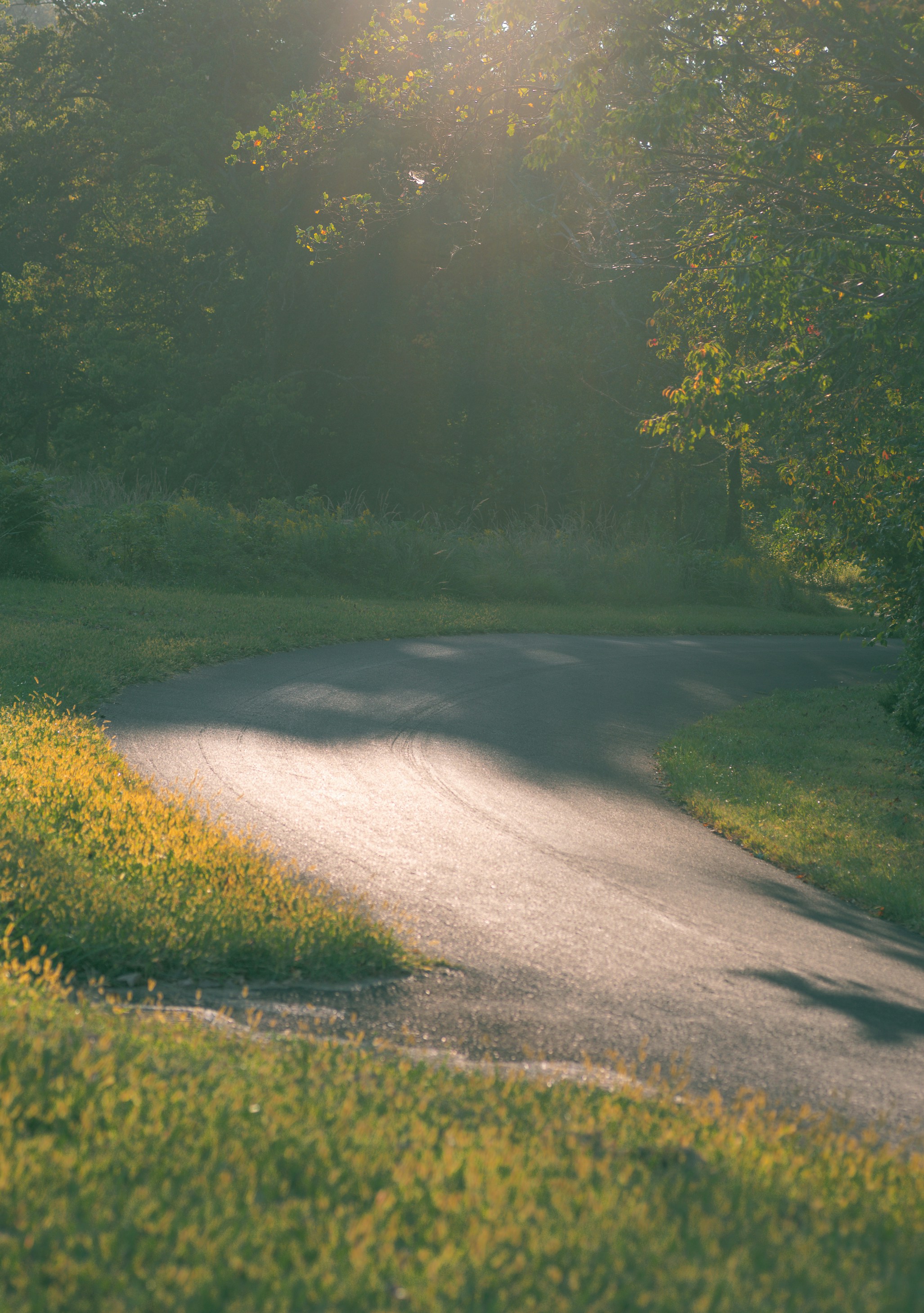 Photo by renatakneedham