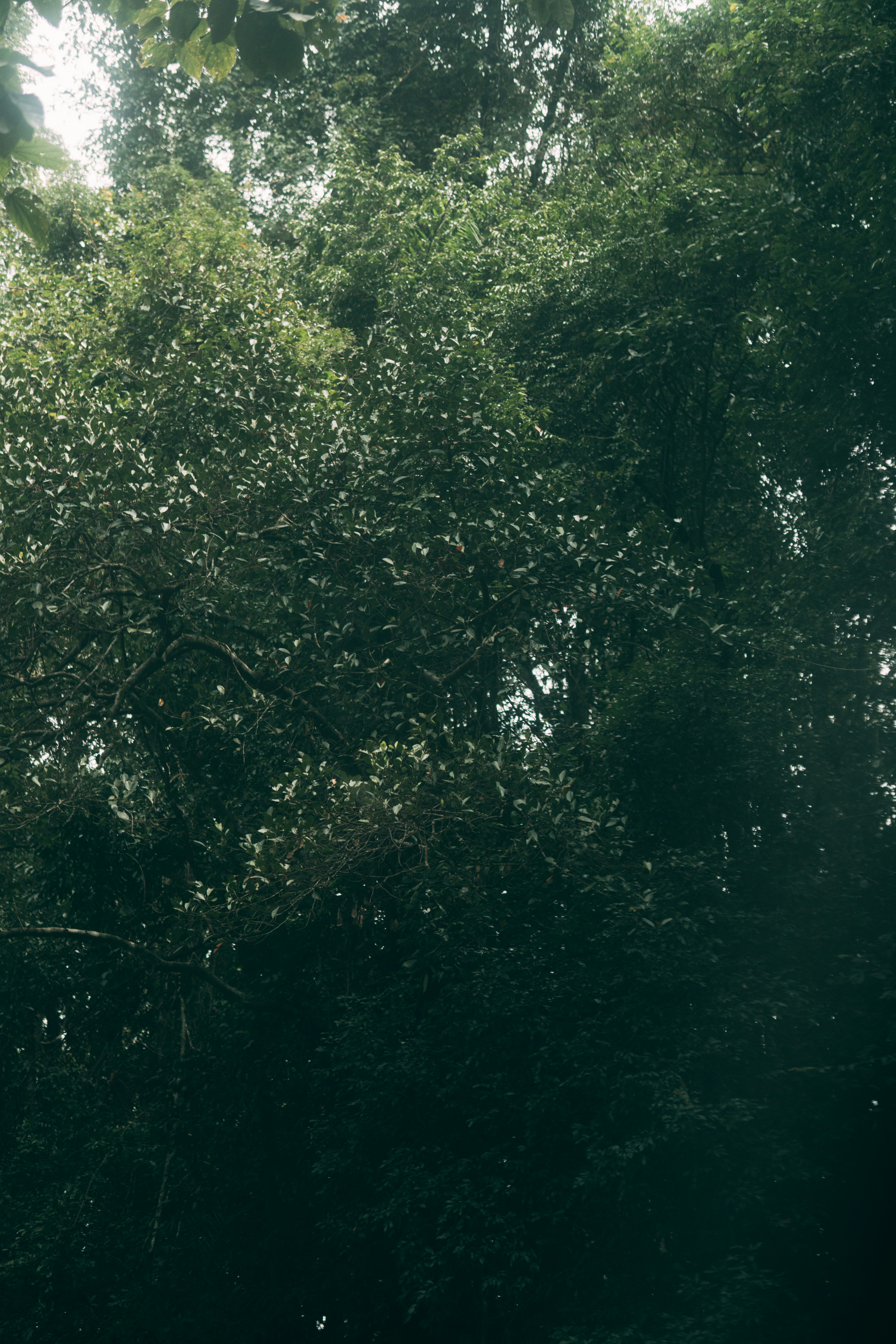 Photo by nanduvasudevan