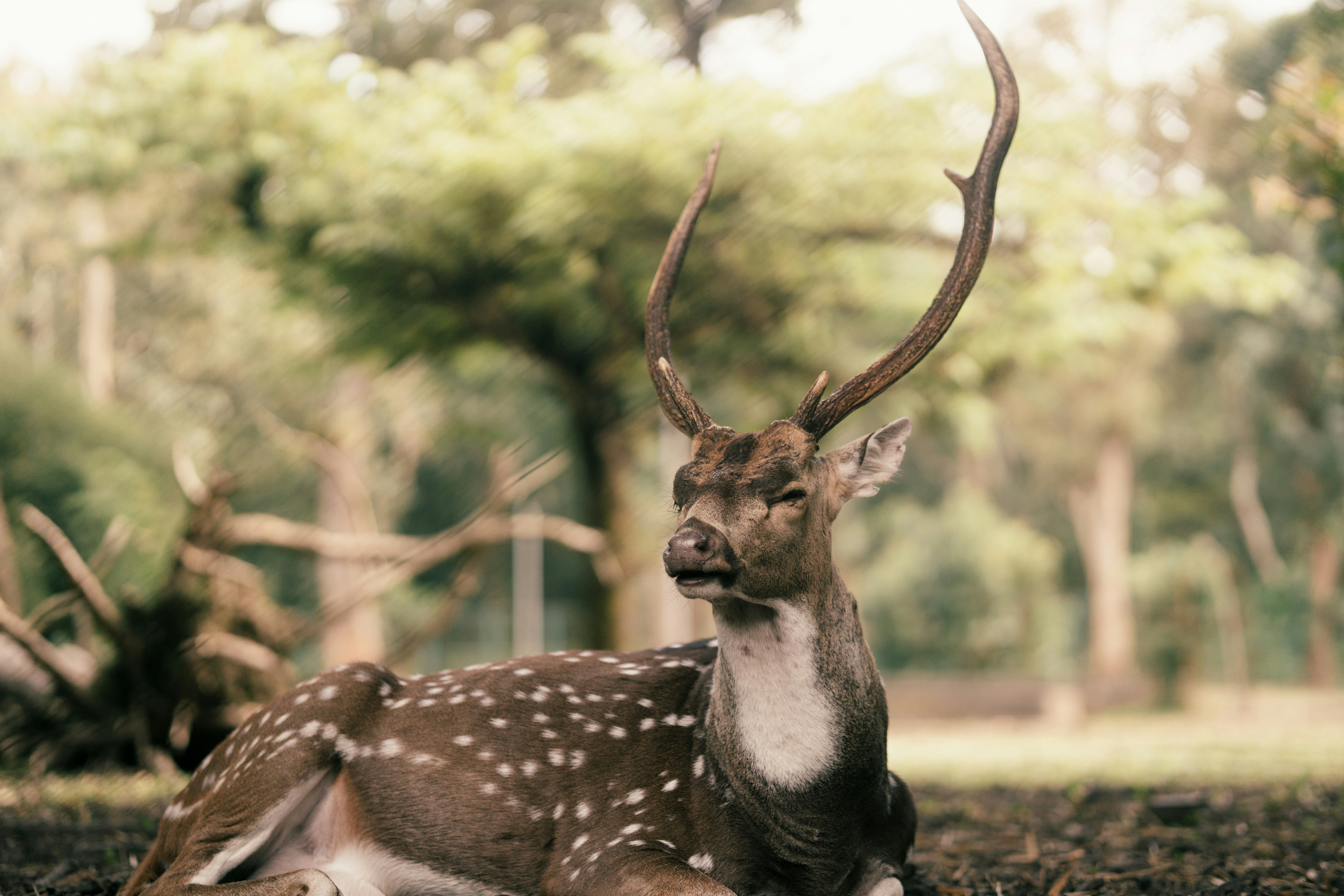 Photo by nanduvasudevan