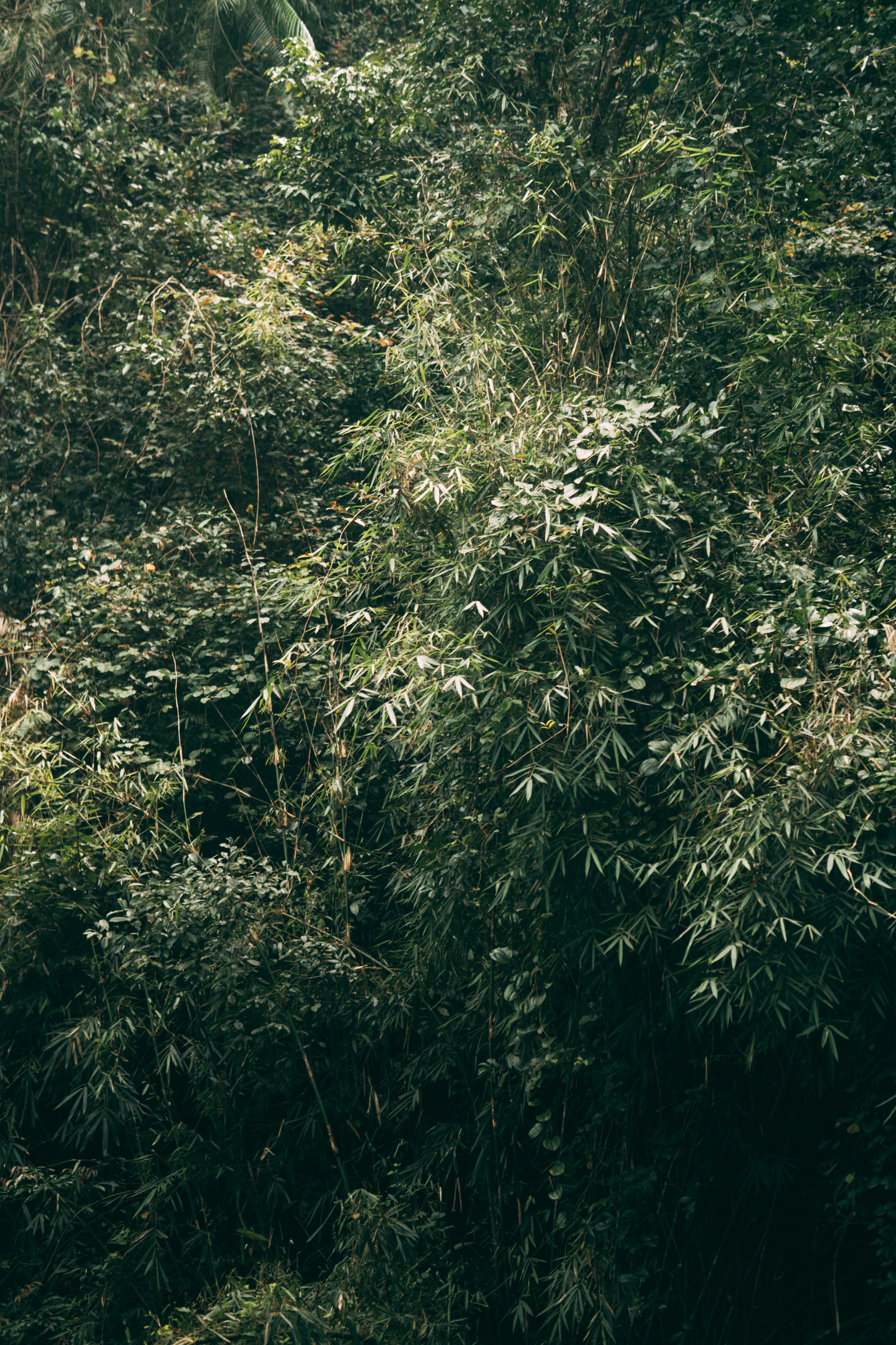 Photo by nanduvasudevan