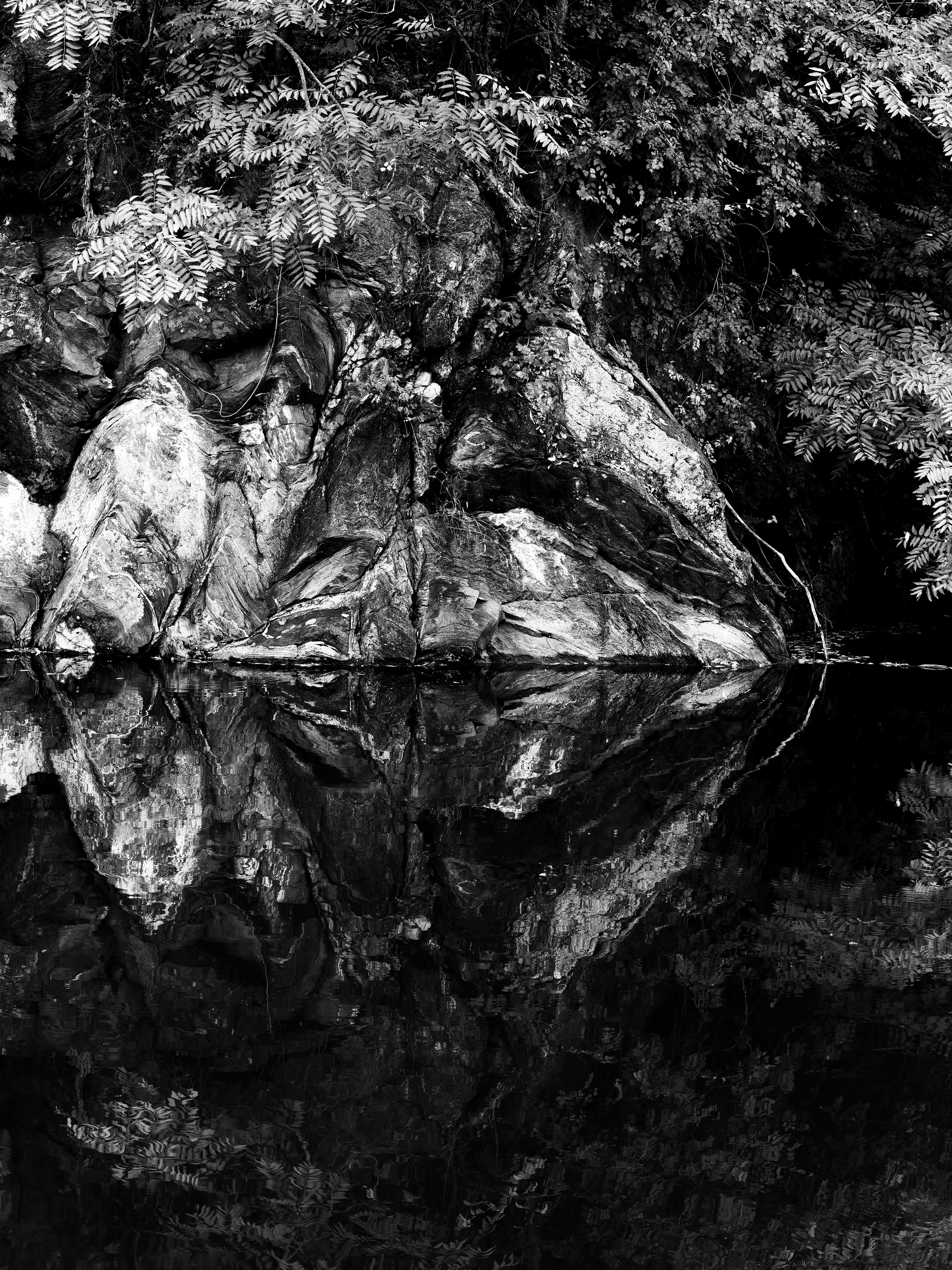 Photo by sschusterphotoart