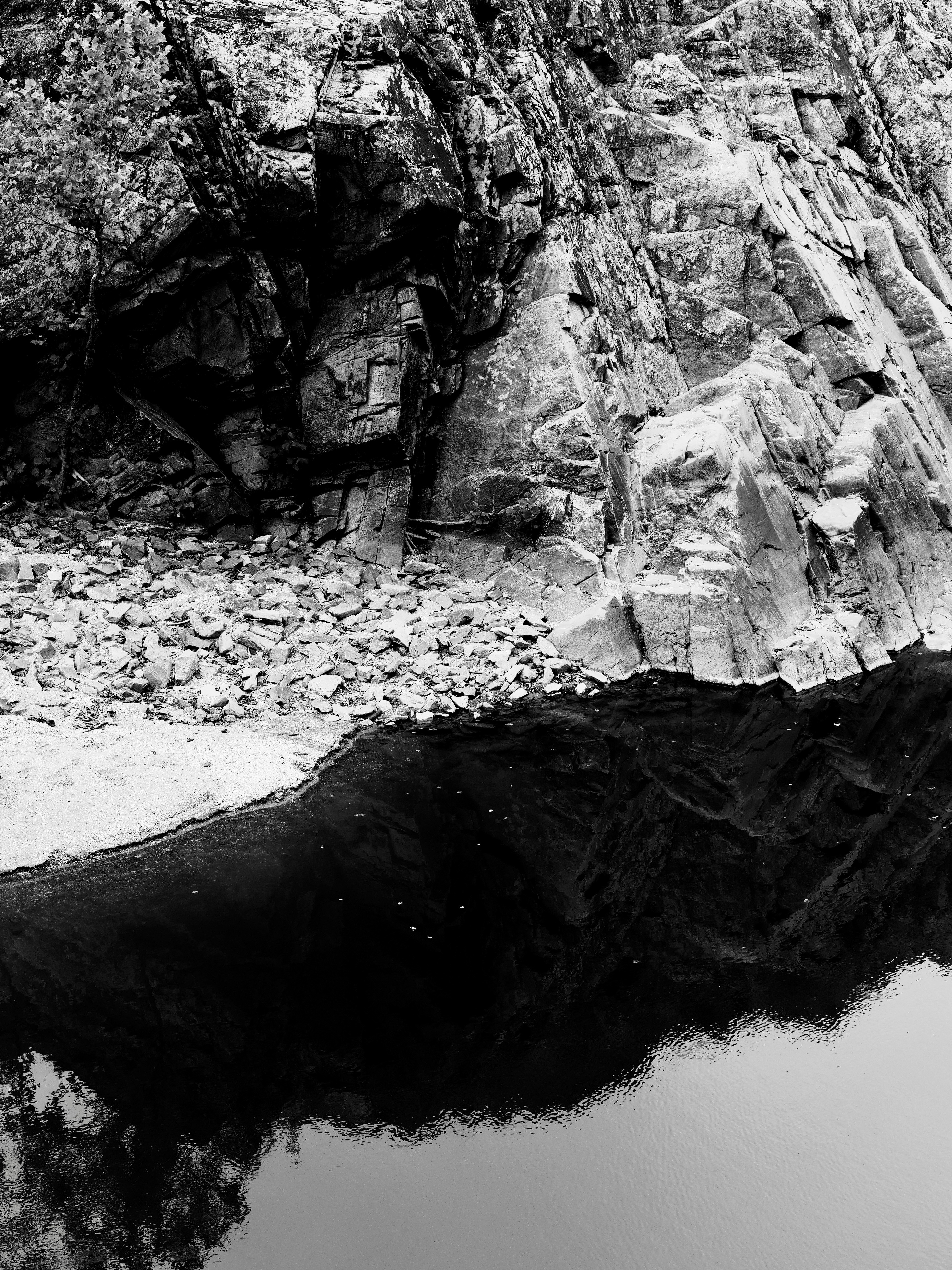 Photo by sschusterphotoart